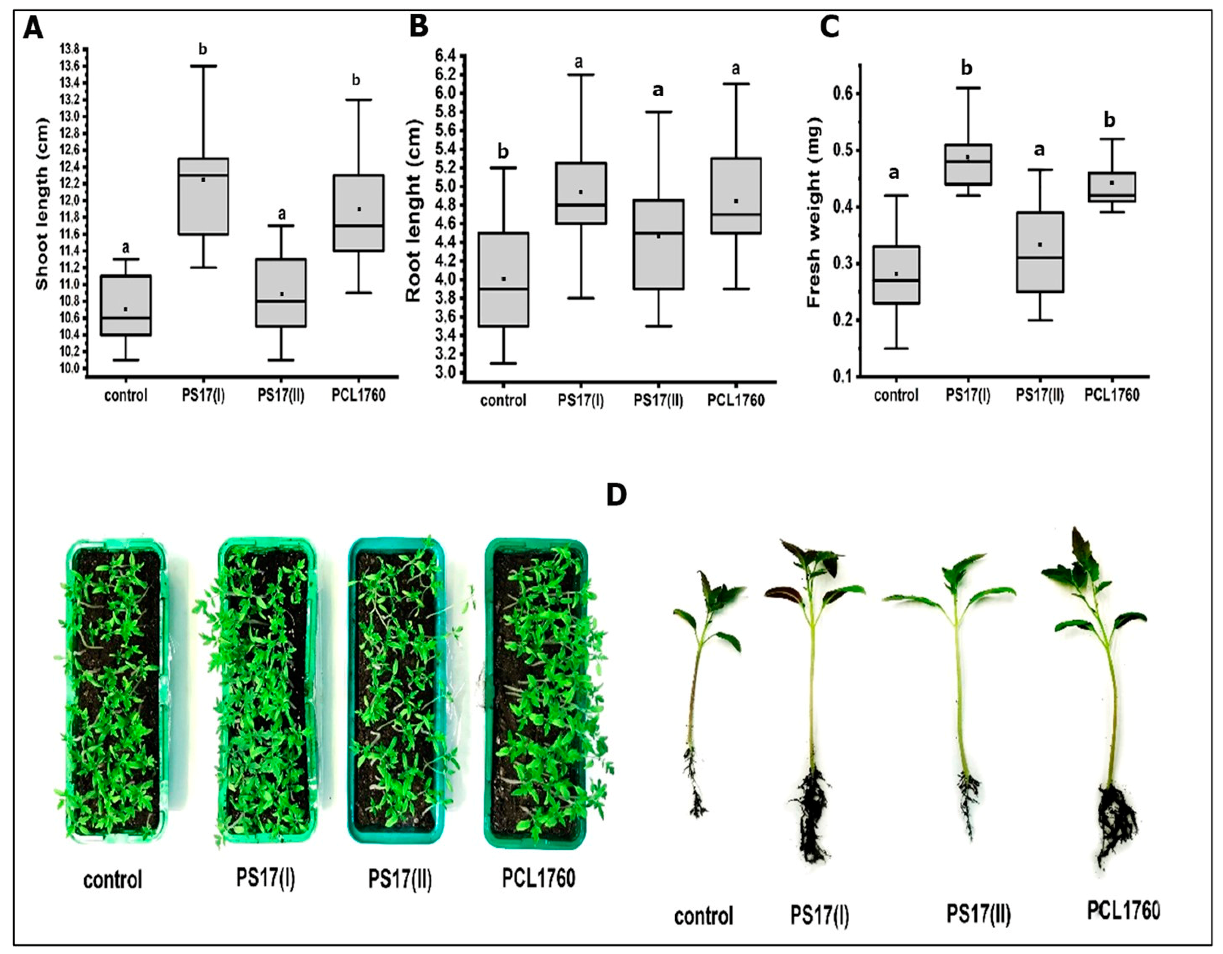 Biology 11 01305 g010 Biology 11 01305 g010