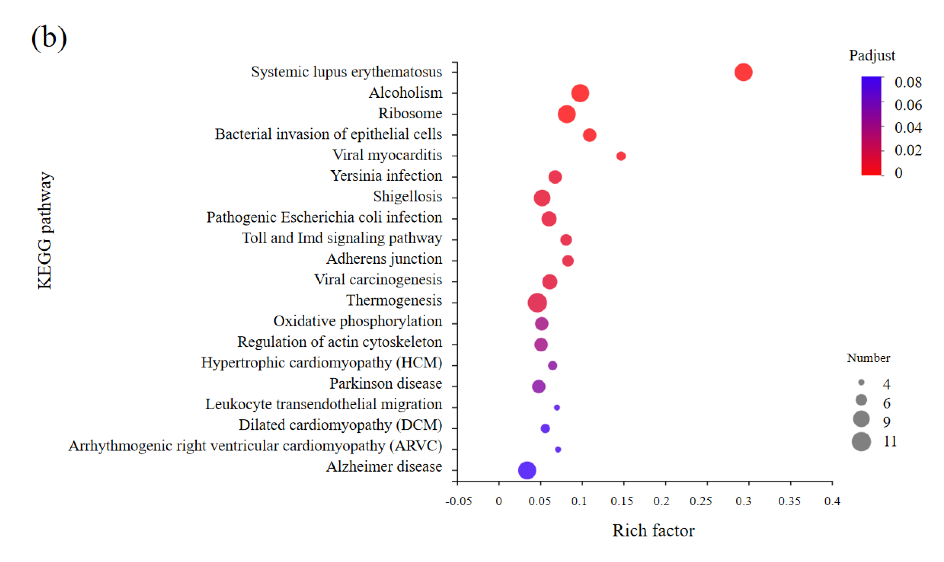 Biology 11 01313 g006b