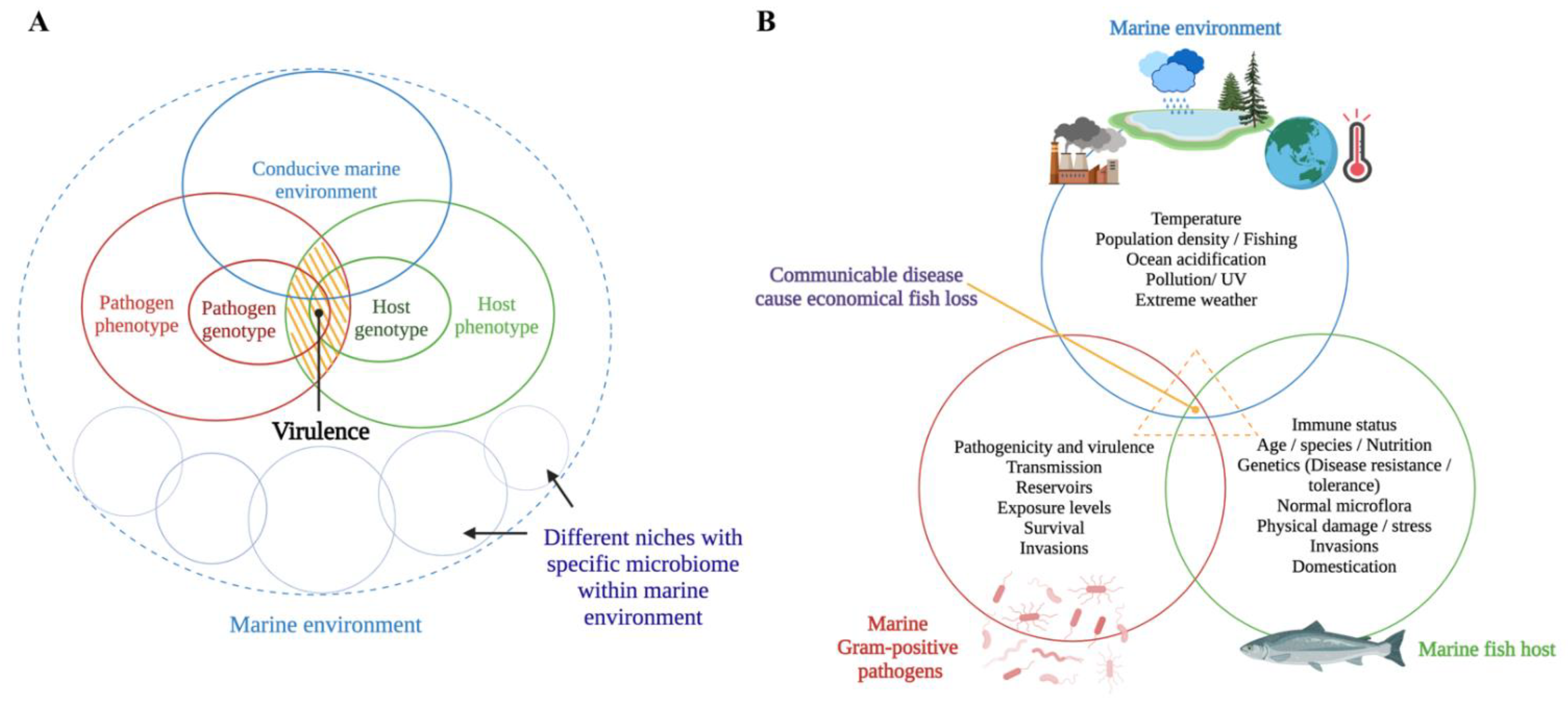 Biology 11 01316 g001