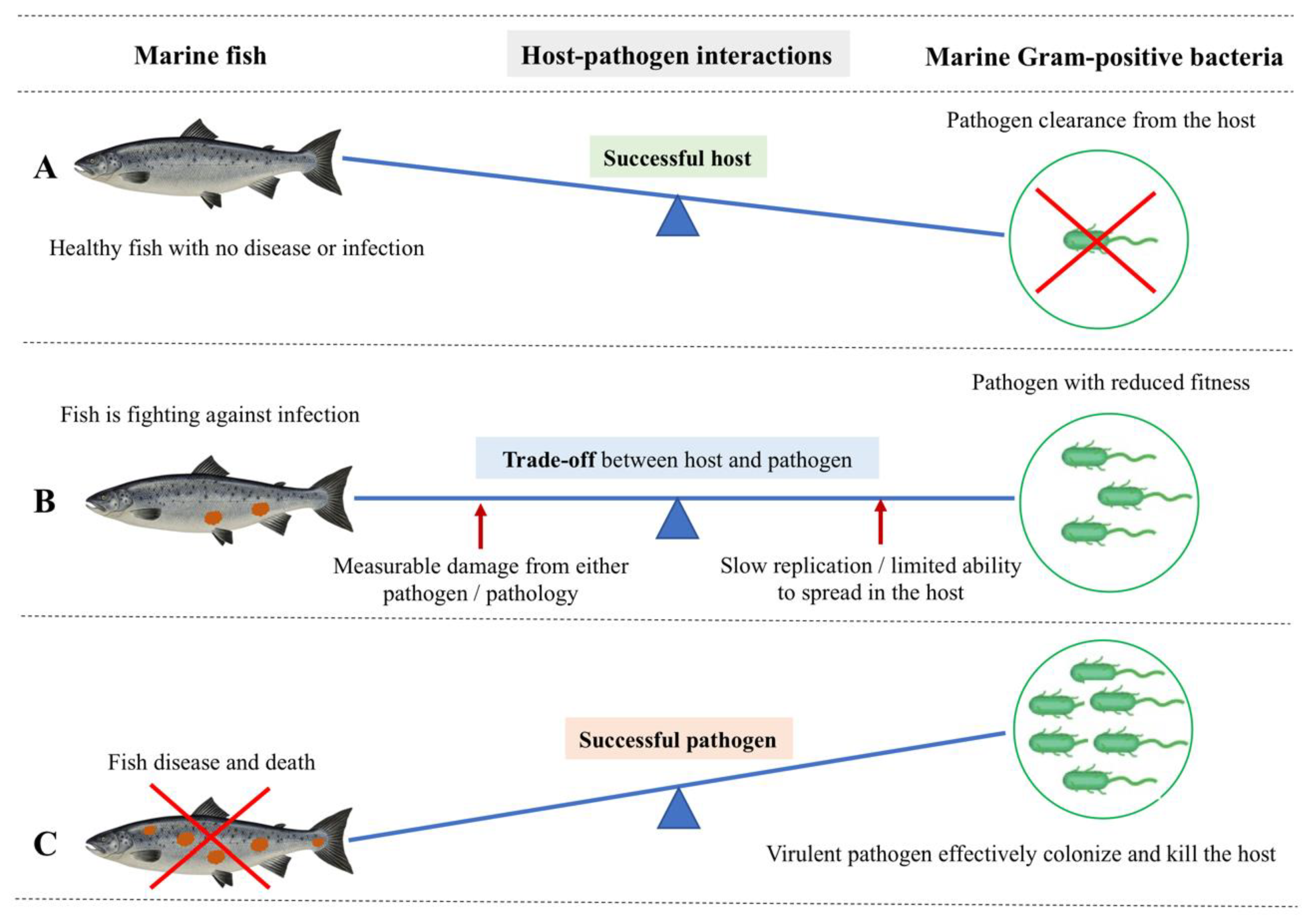 Biology 11 01316 g002
