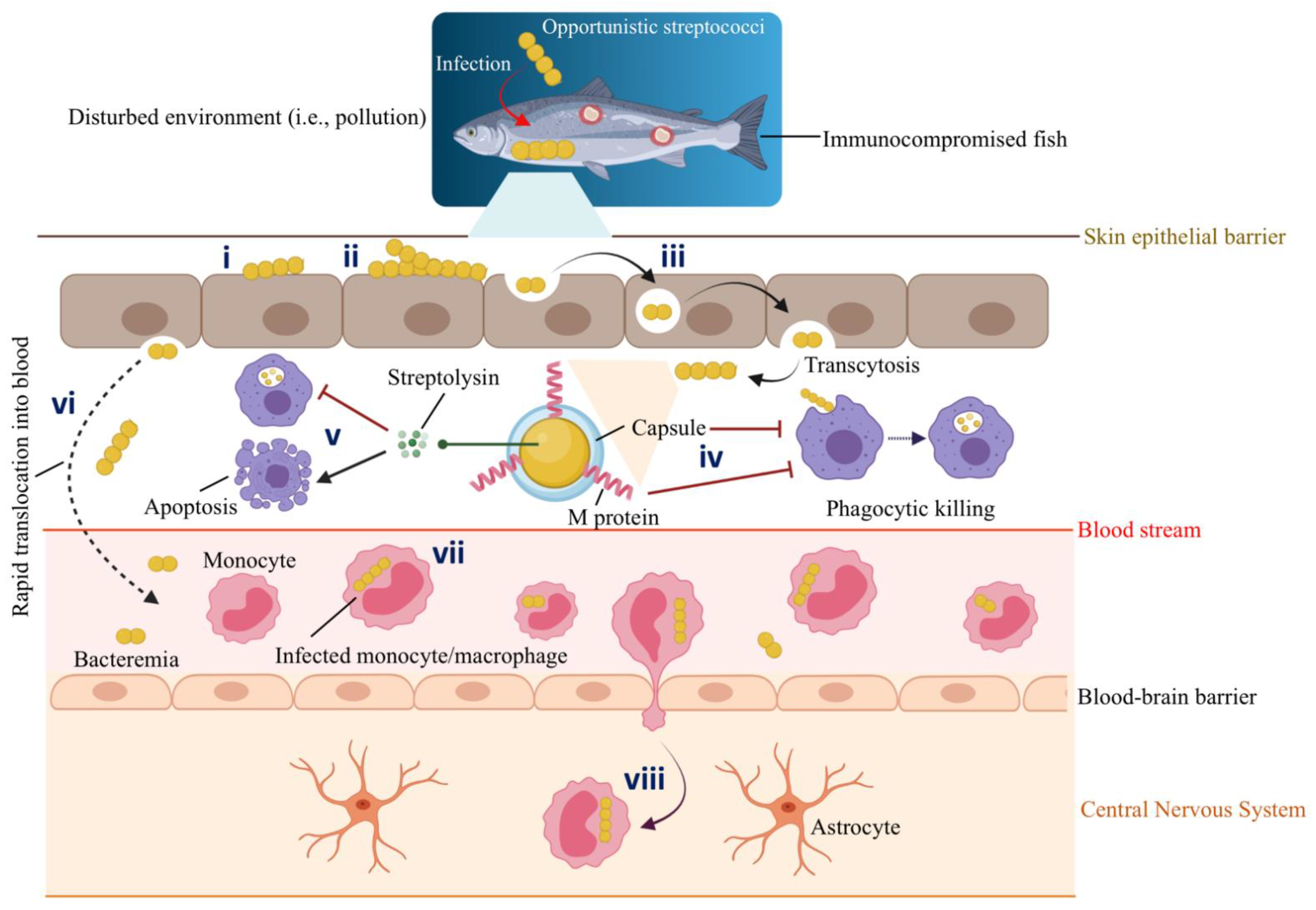 Biology 11 01316 g003