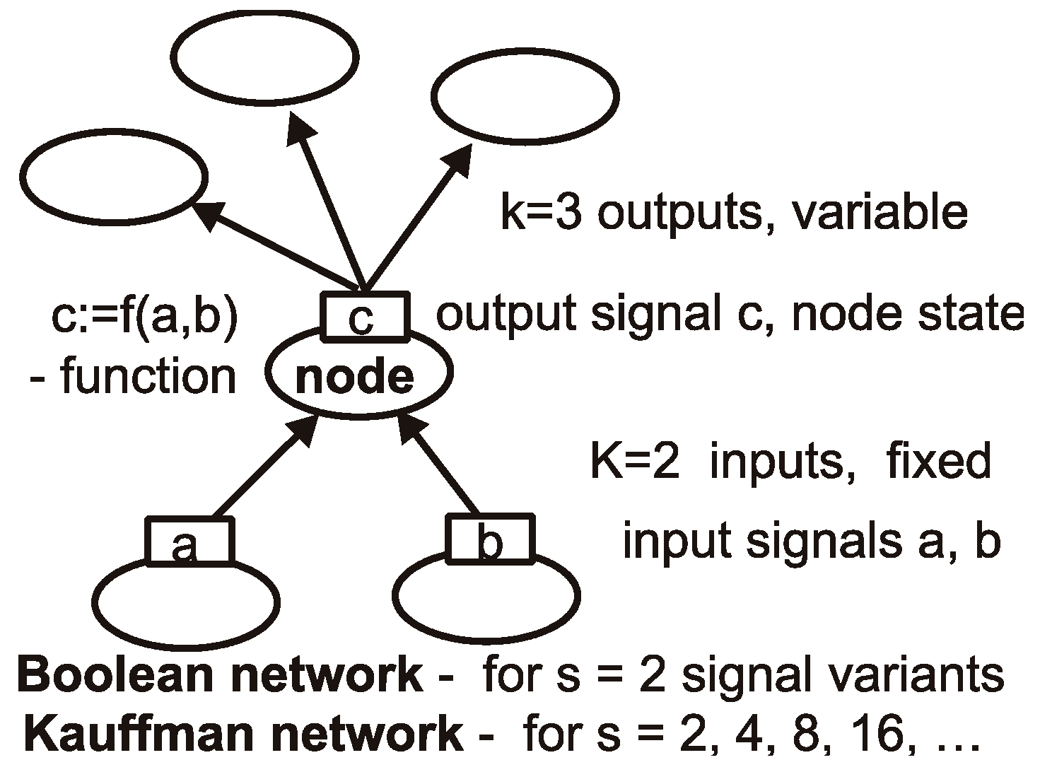 Biology 11 01317 g001