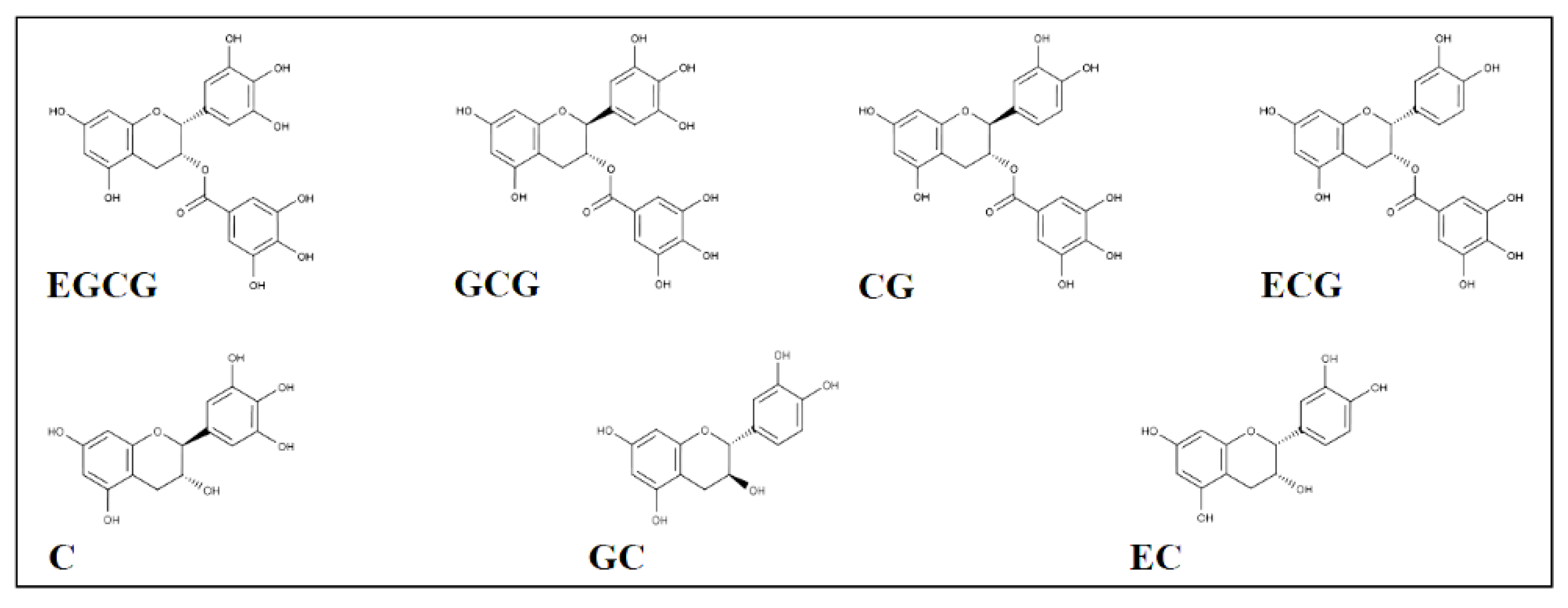 Biology 11 01324 g001