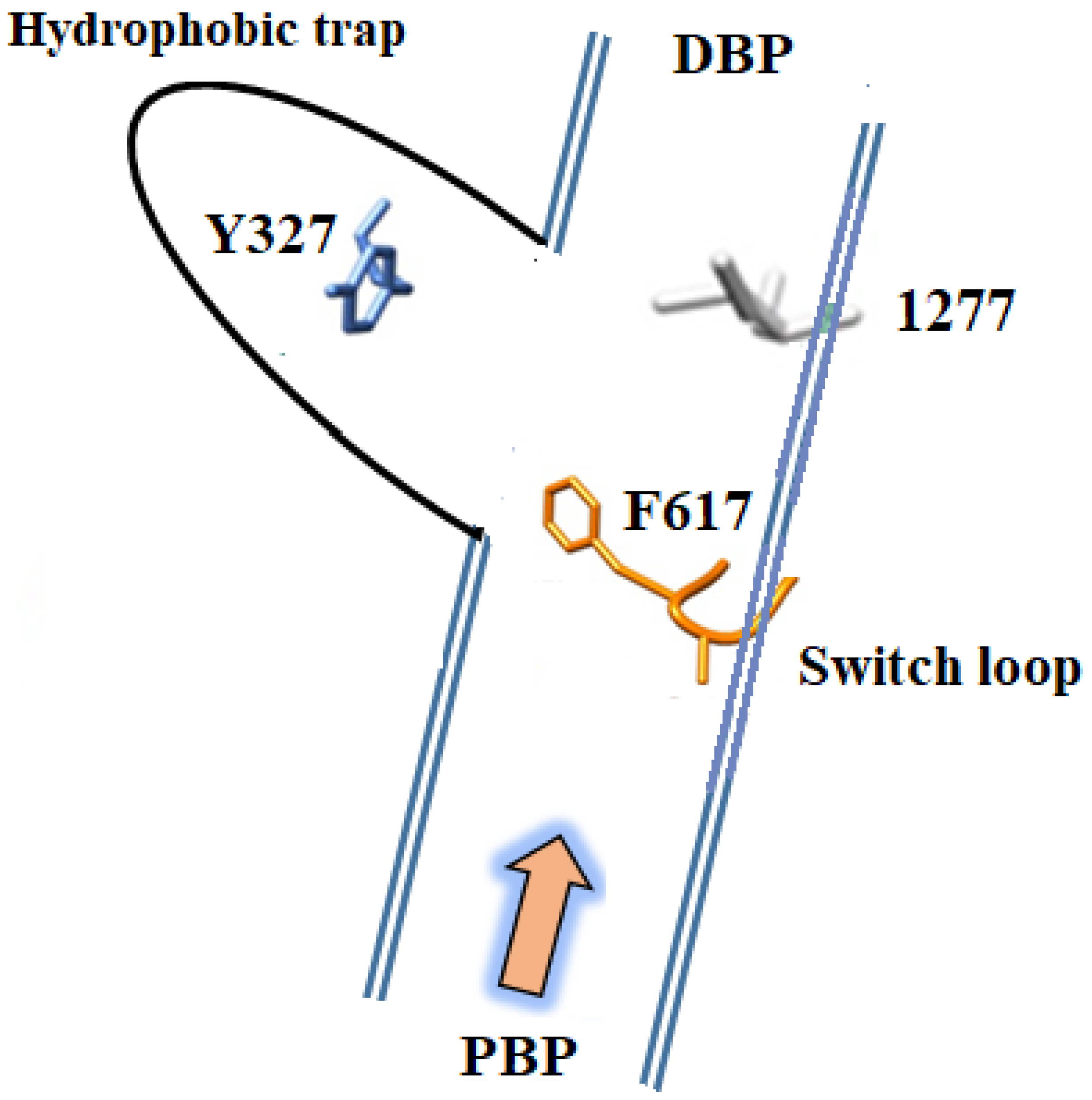 Schematic of the AcrAB-TolC multidrug efflux system as established in