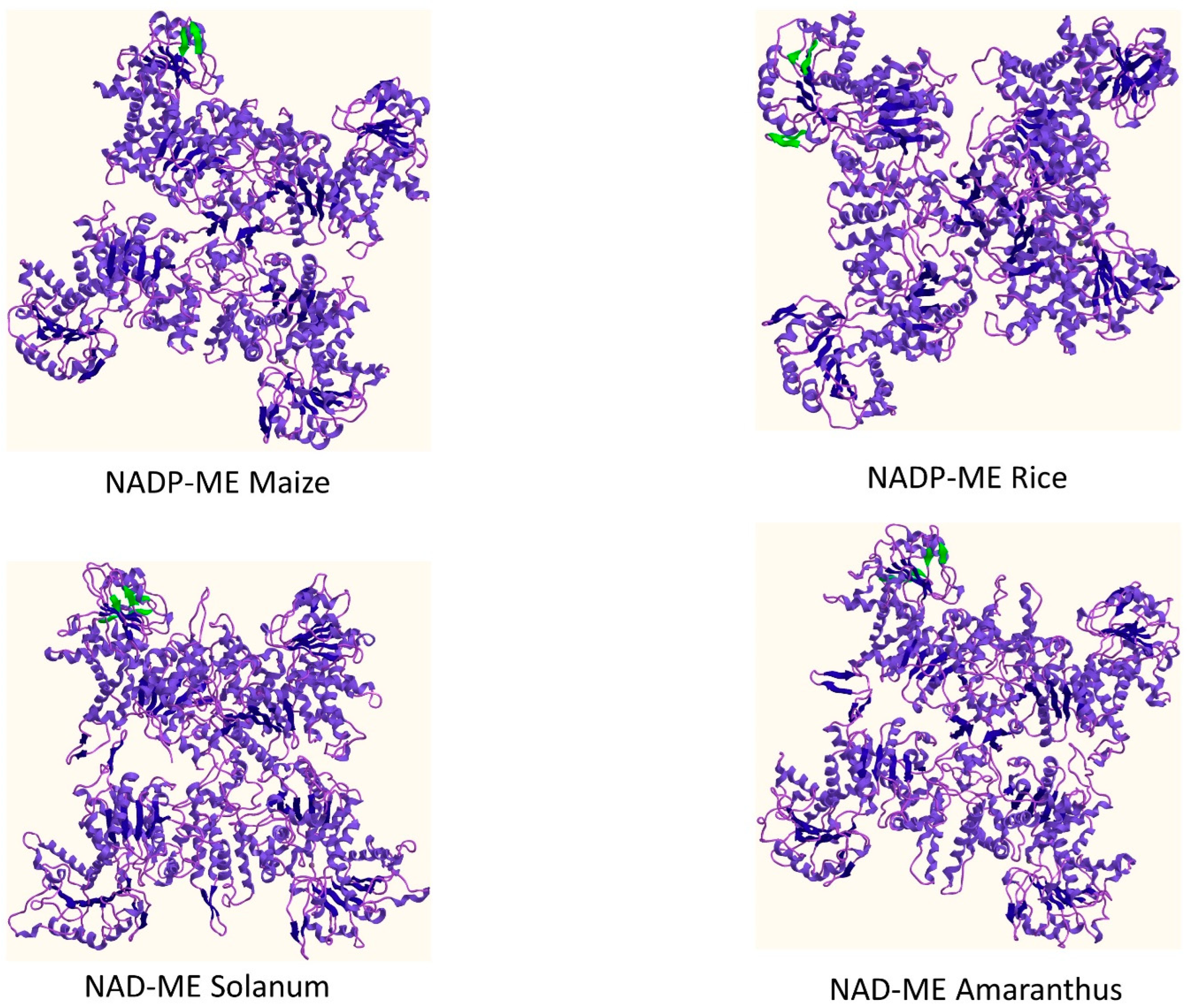 Biology 11 01330 g003