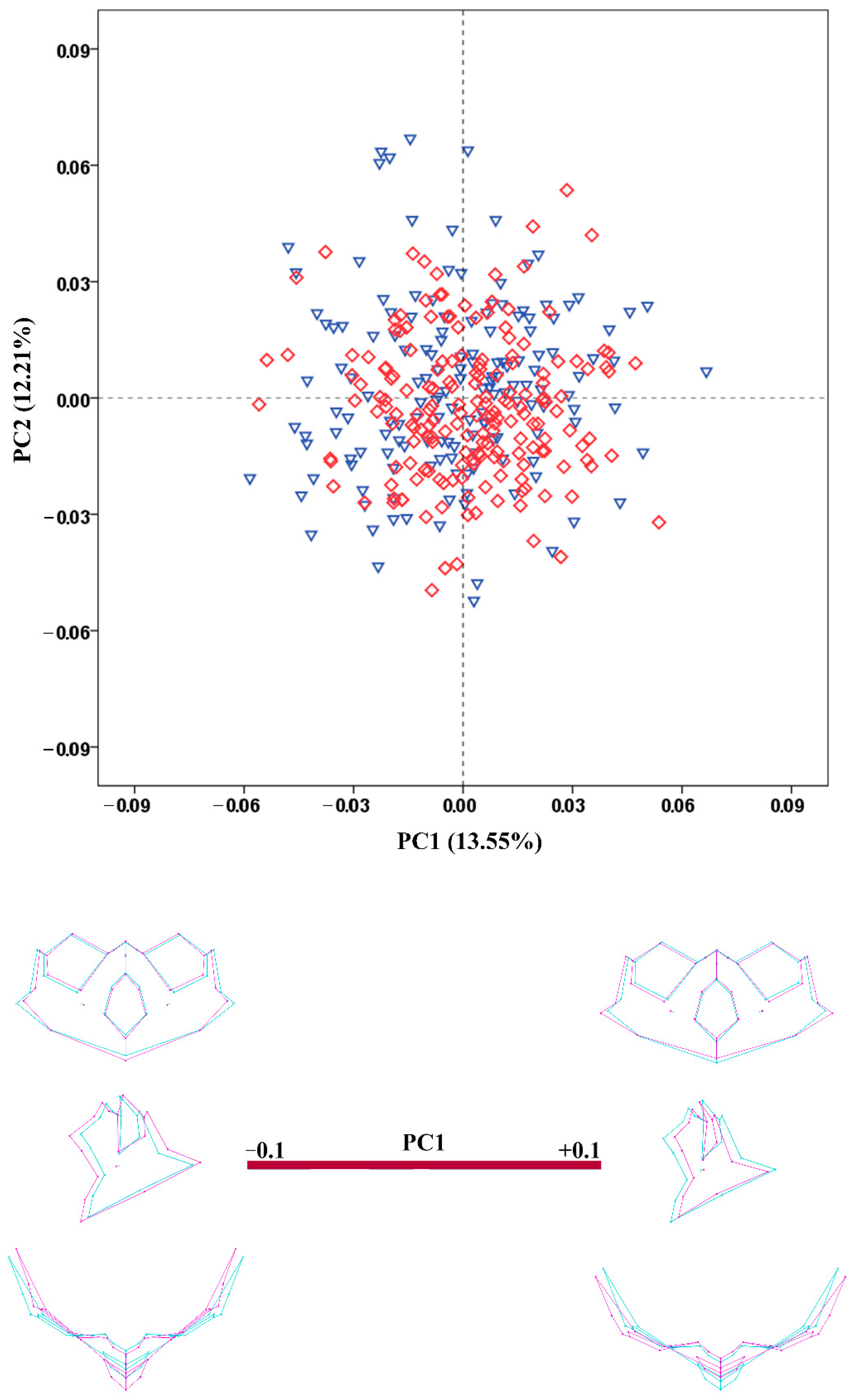 Biology 11 01333 g003 Biology 11 01333 g003