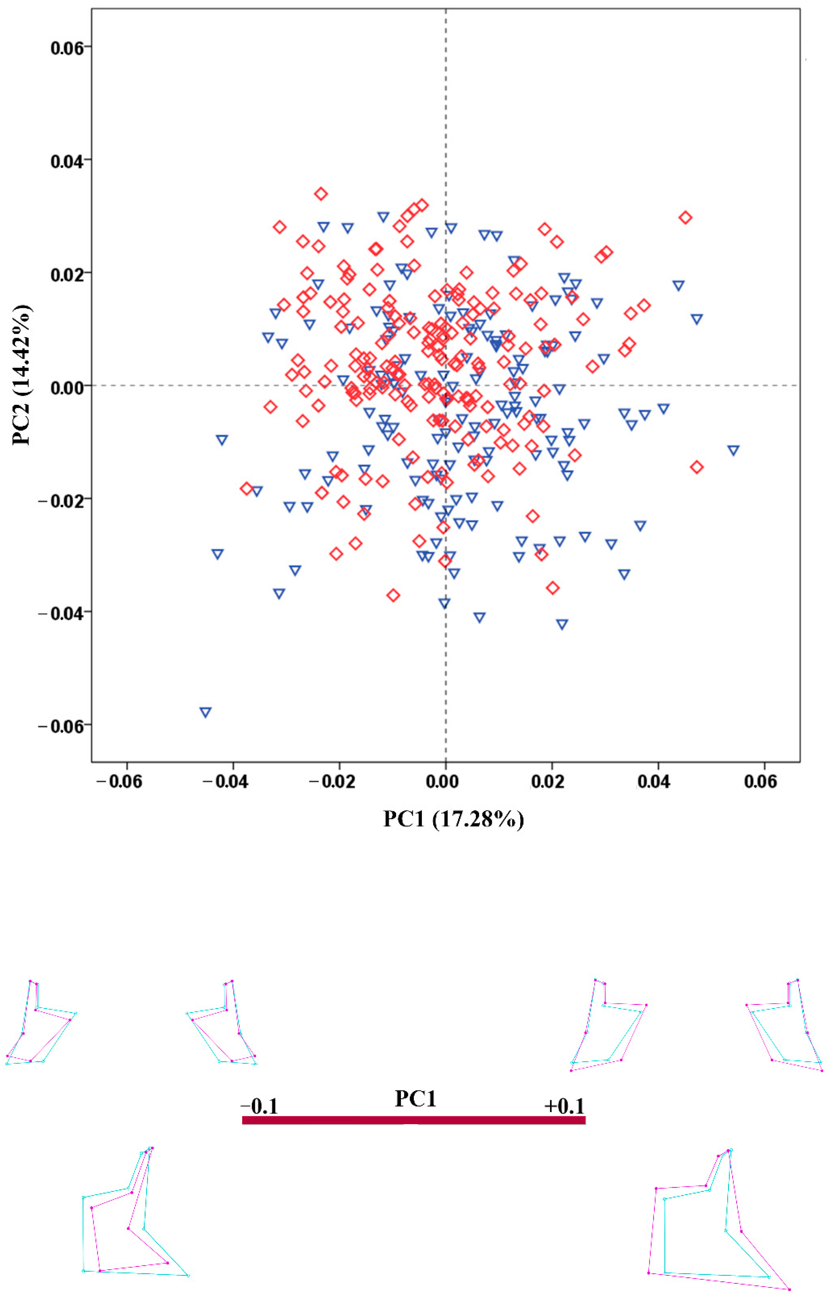Biology 11 01333 g007 Biology 11 01333 g007
