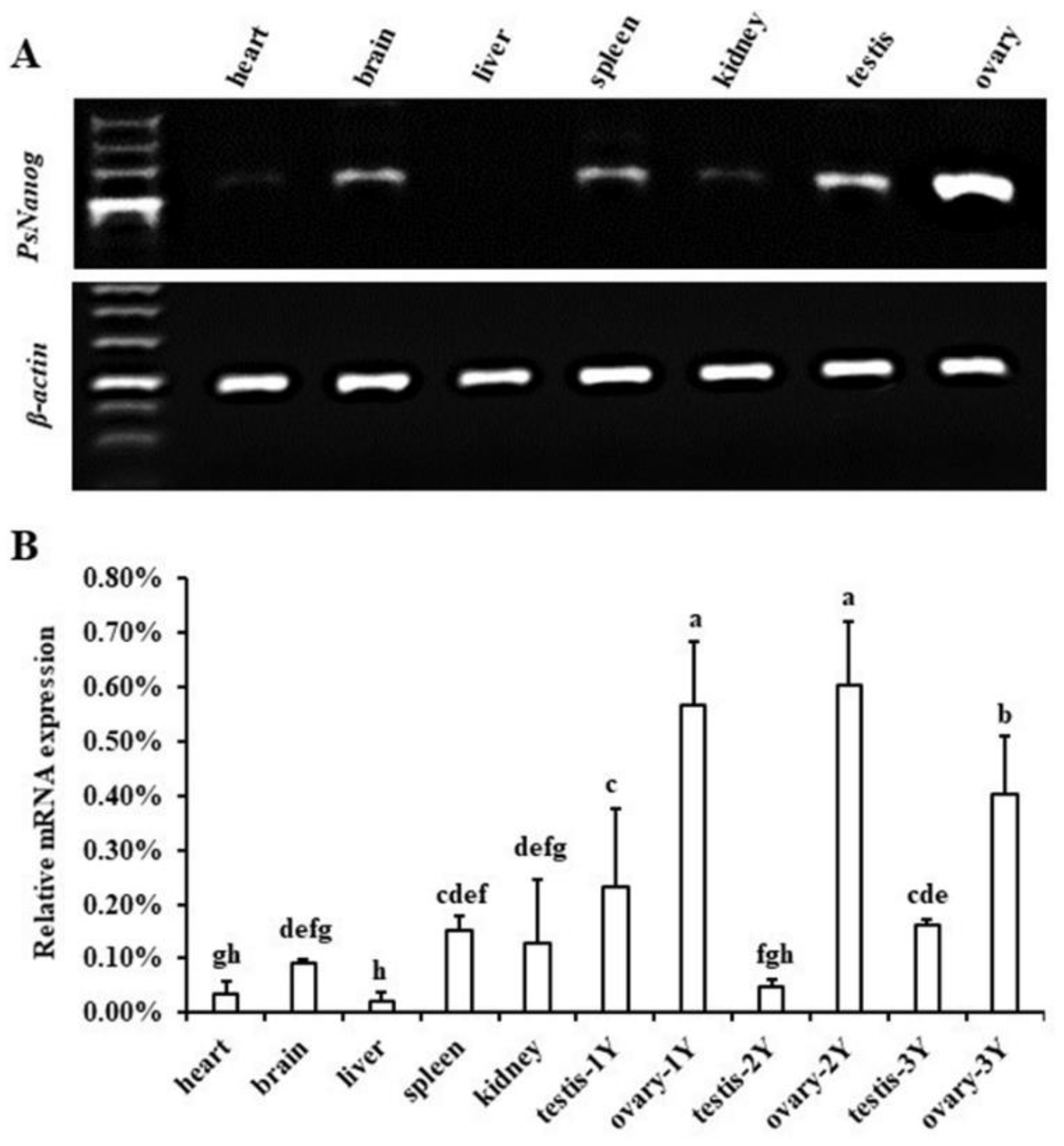 Biology 11 01342 g003