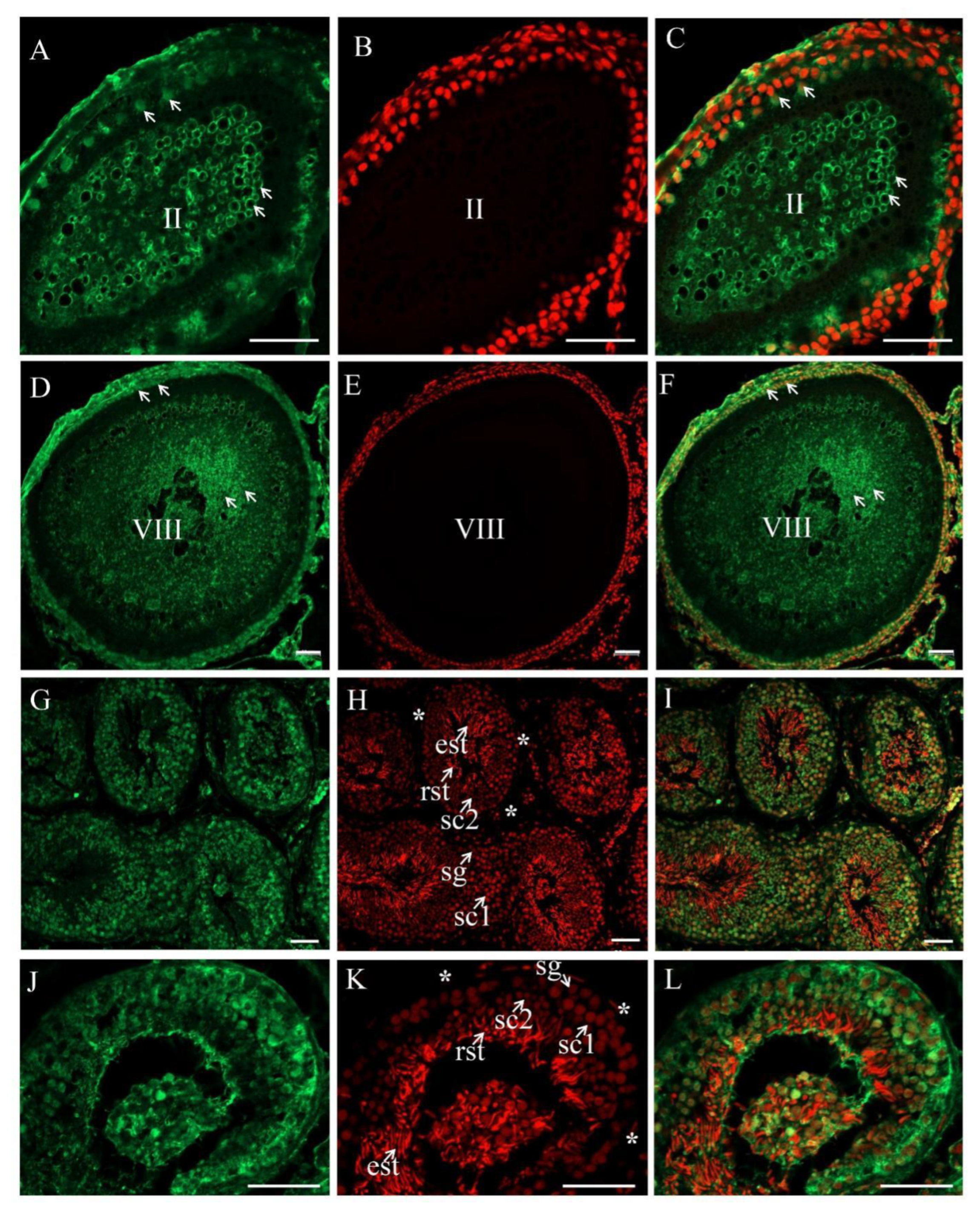Biology 11 01342 g006