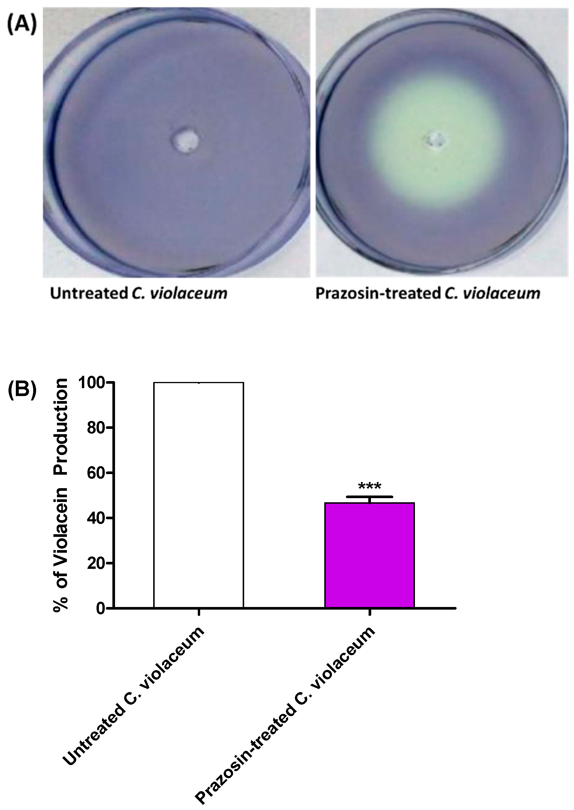 Biology 11 01349 g002
