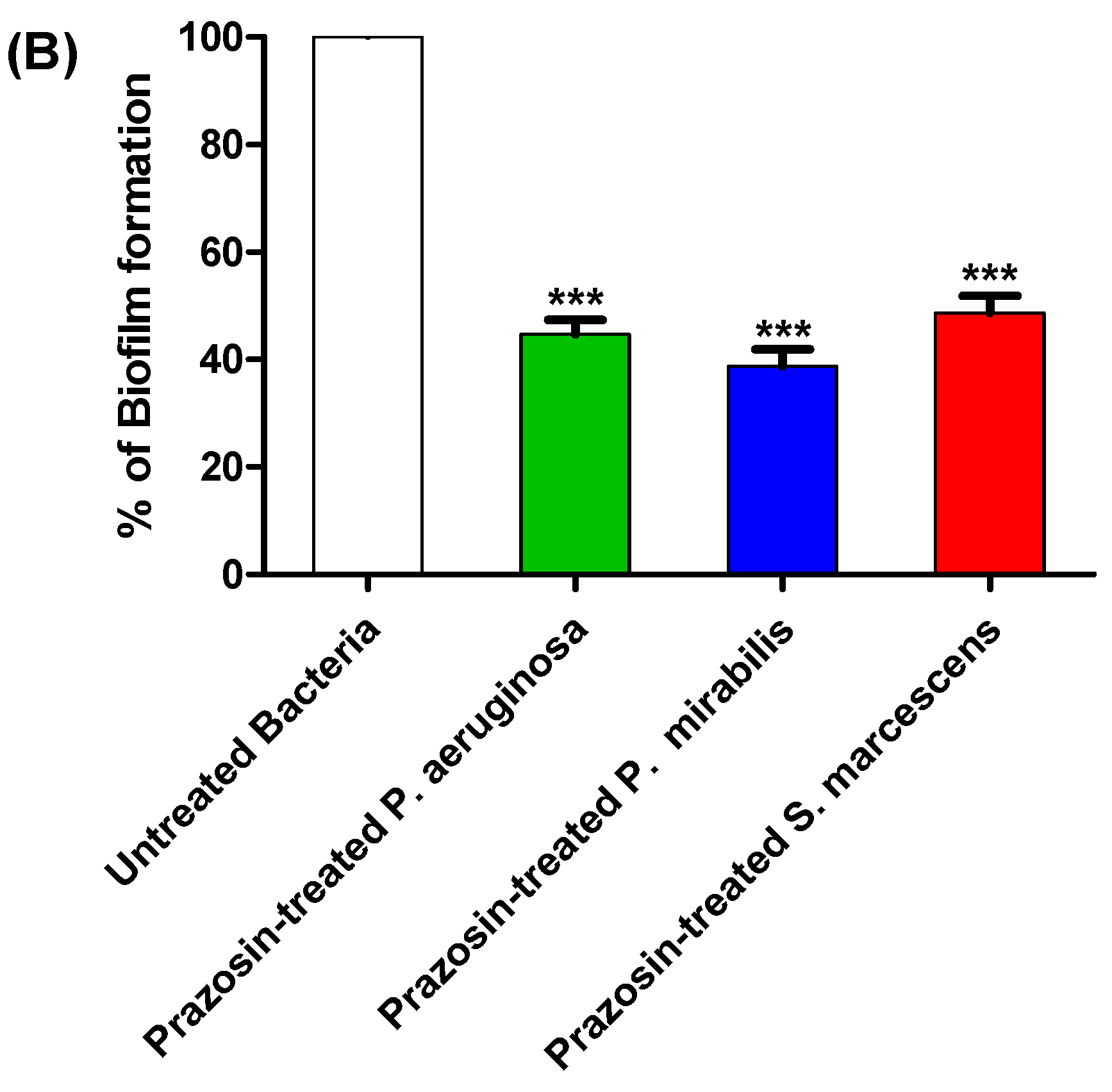 Biology 11 01349 g003b