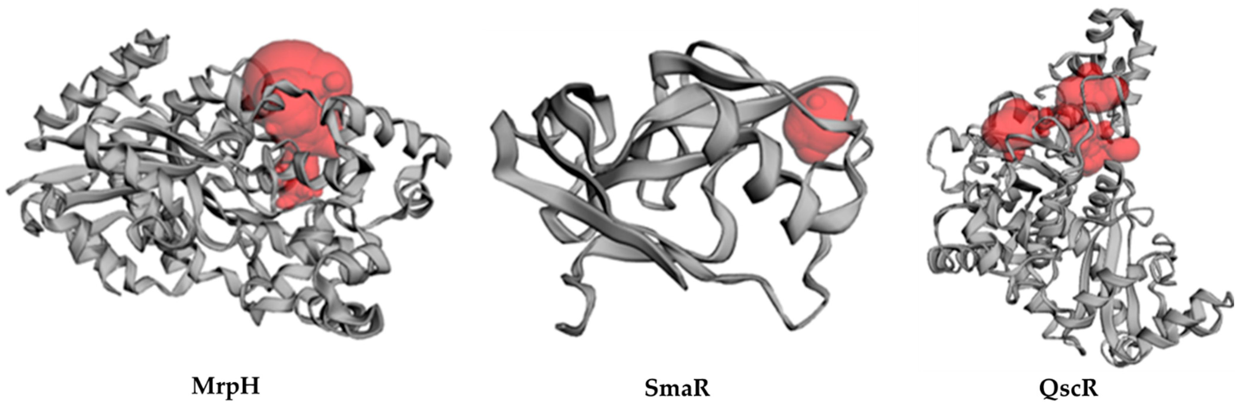 Biology 11 01349 g008