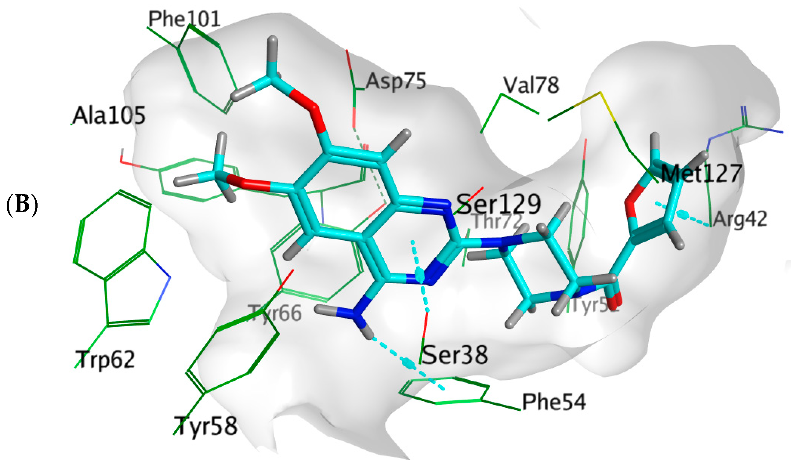 Biology 11 01349 g009b