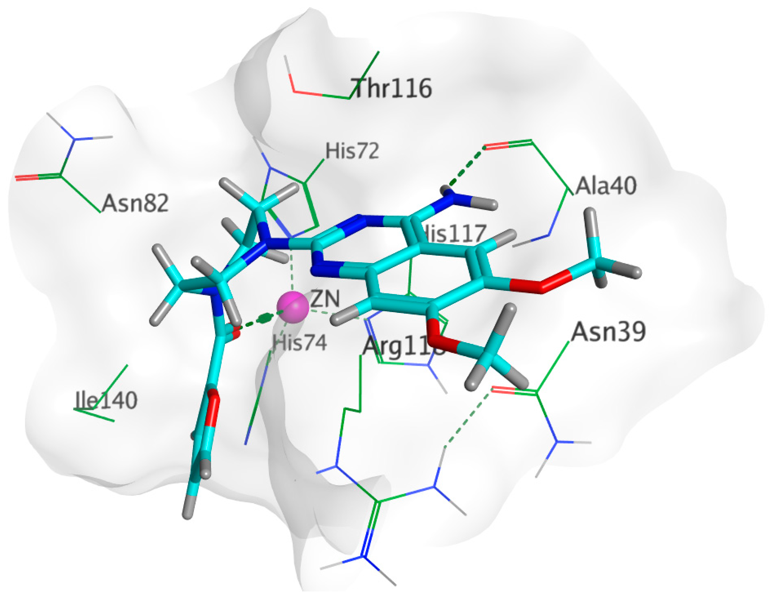 Biology 11 01349 g010
