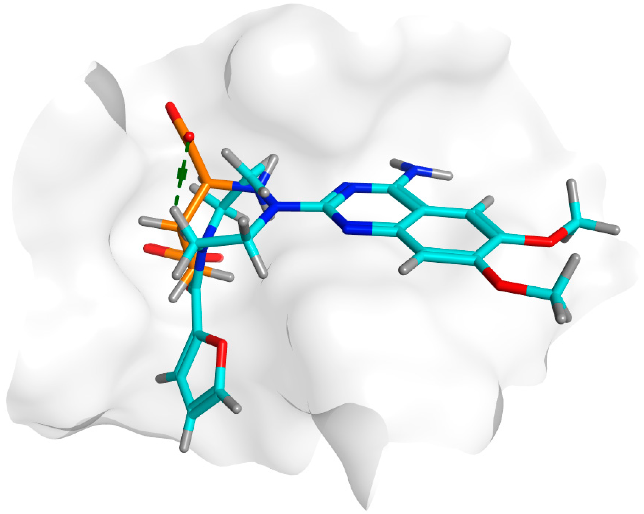 Biology 11 01349 g011