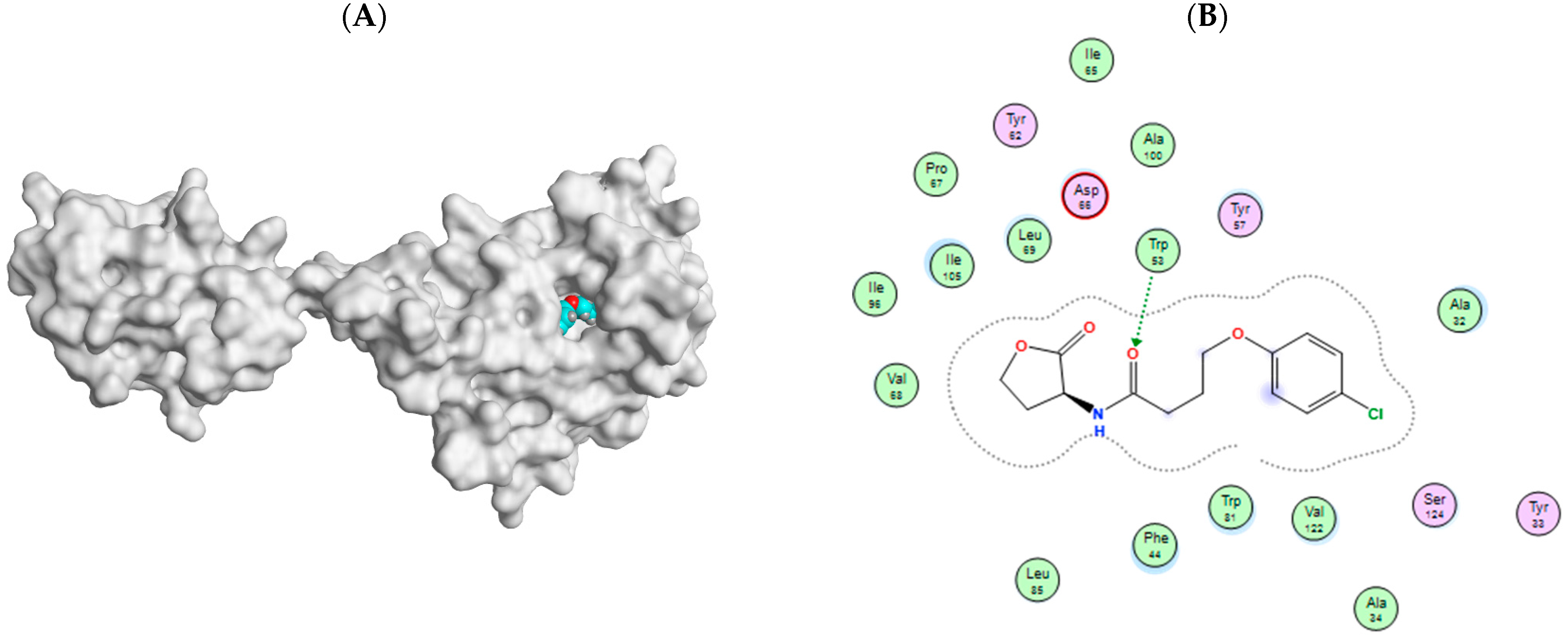 Biology 11 01349 g012