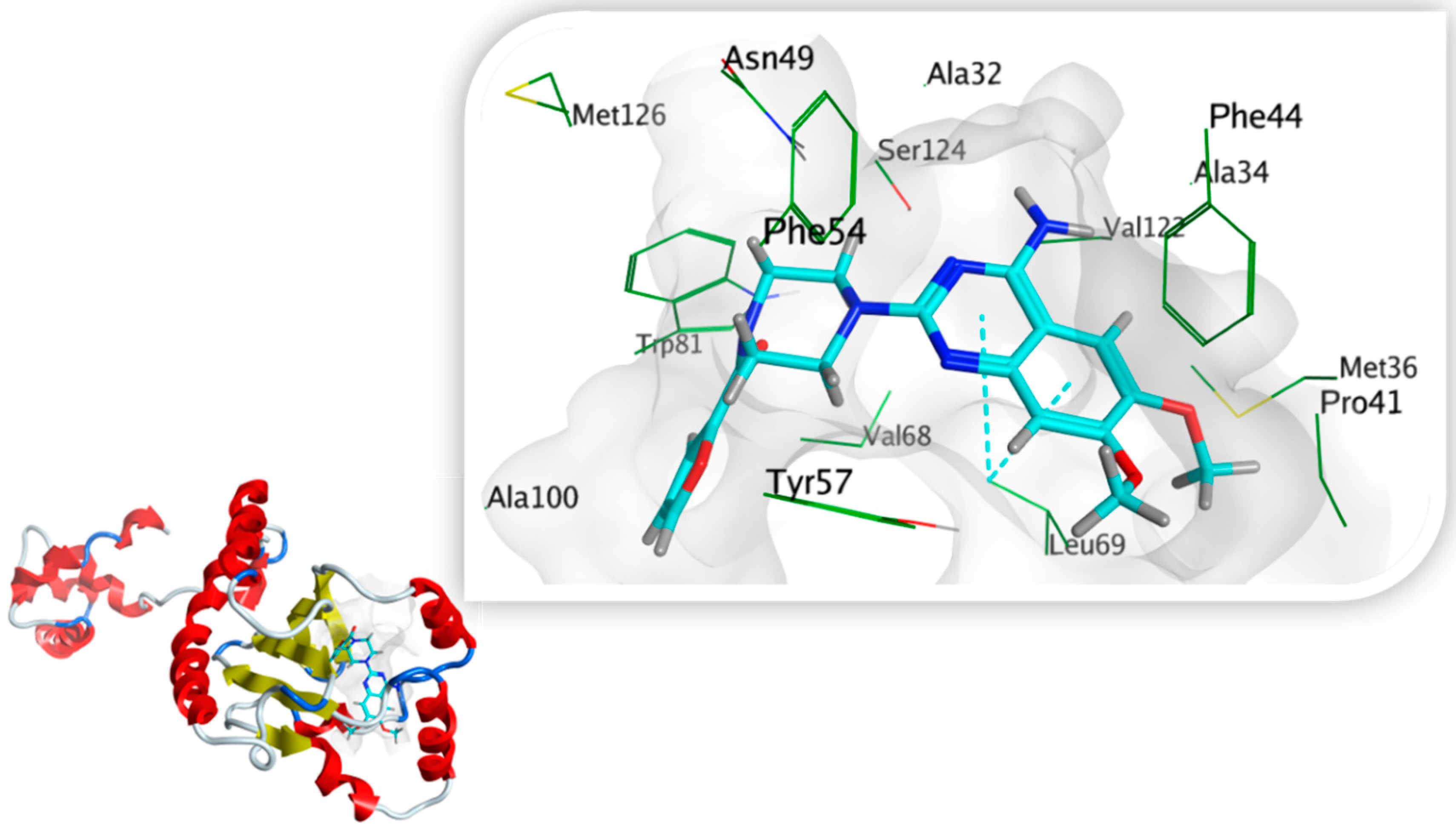 Biology 11 01349 g013