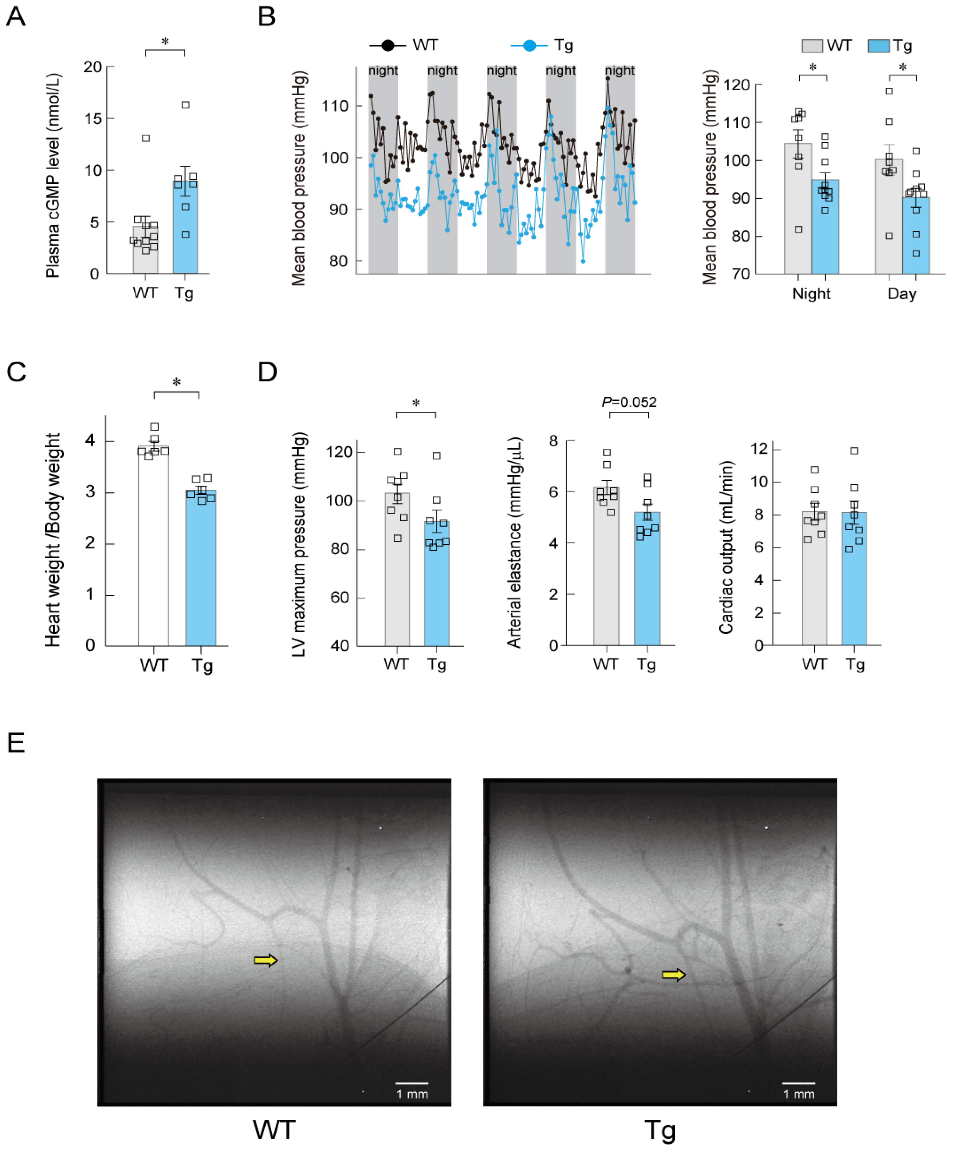 Biology 11 01351 g008