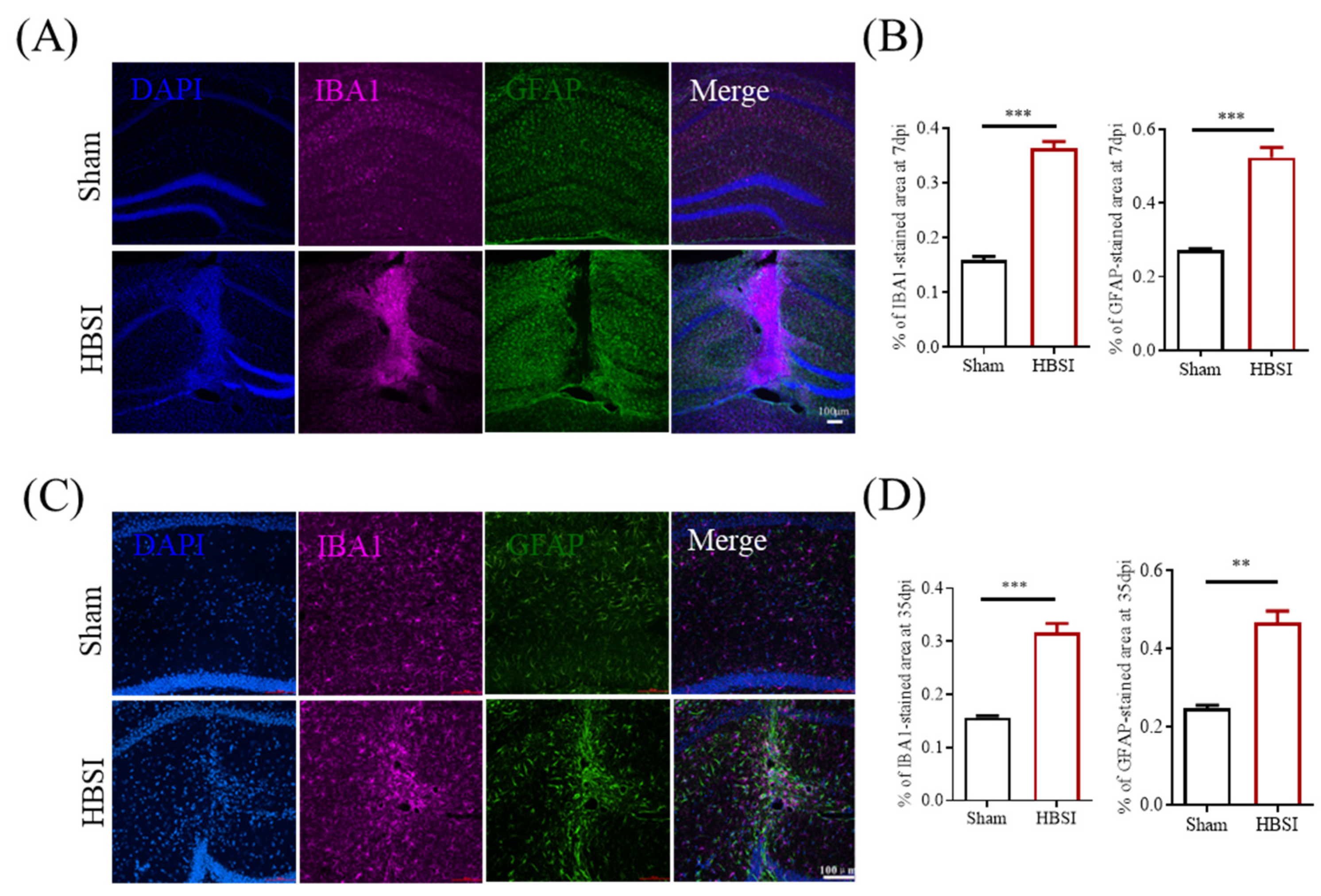 Biology 11 01365 g003 Biology 11 01365 g003