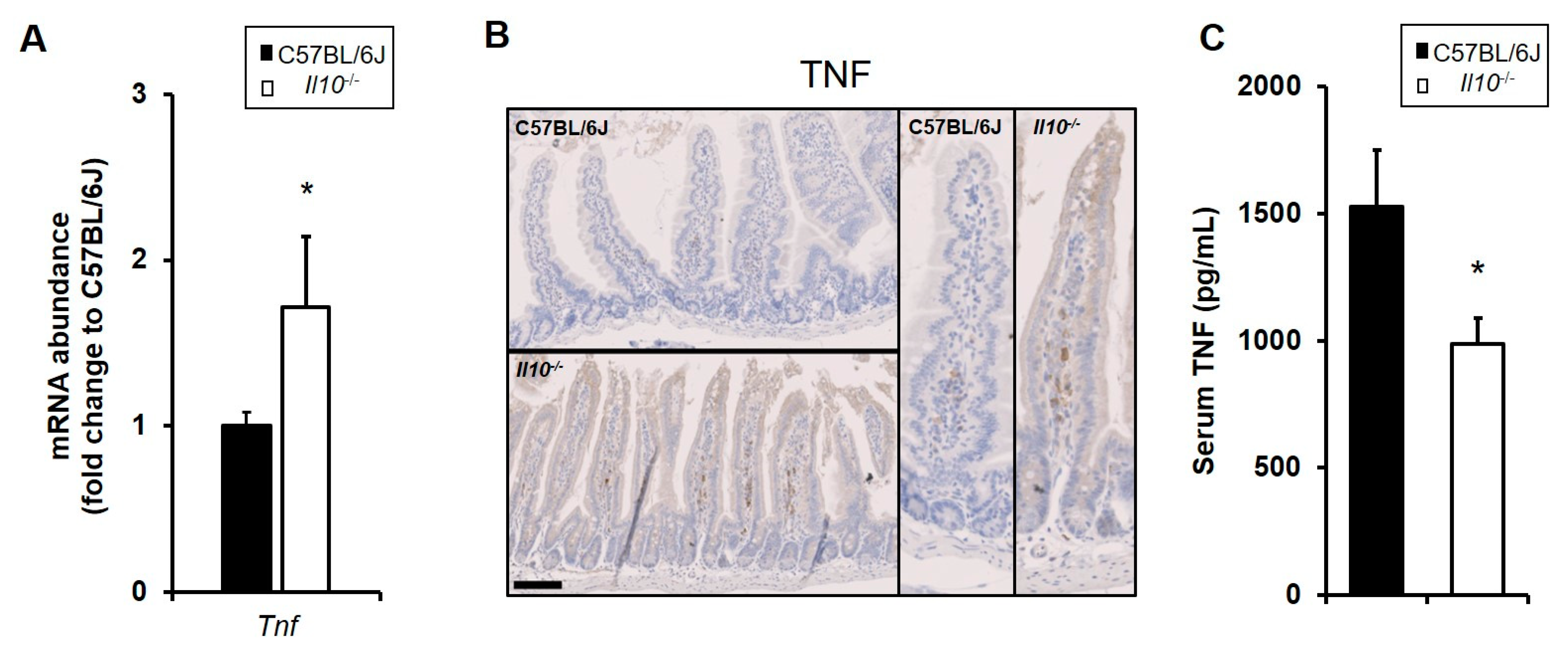 Biology 11 01377 g002 Biology 11 01377 g002