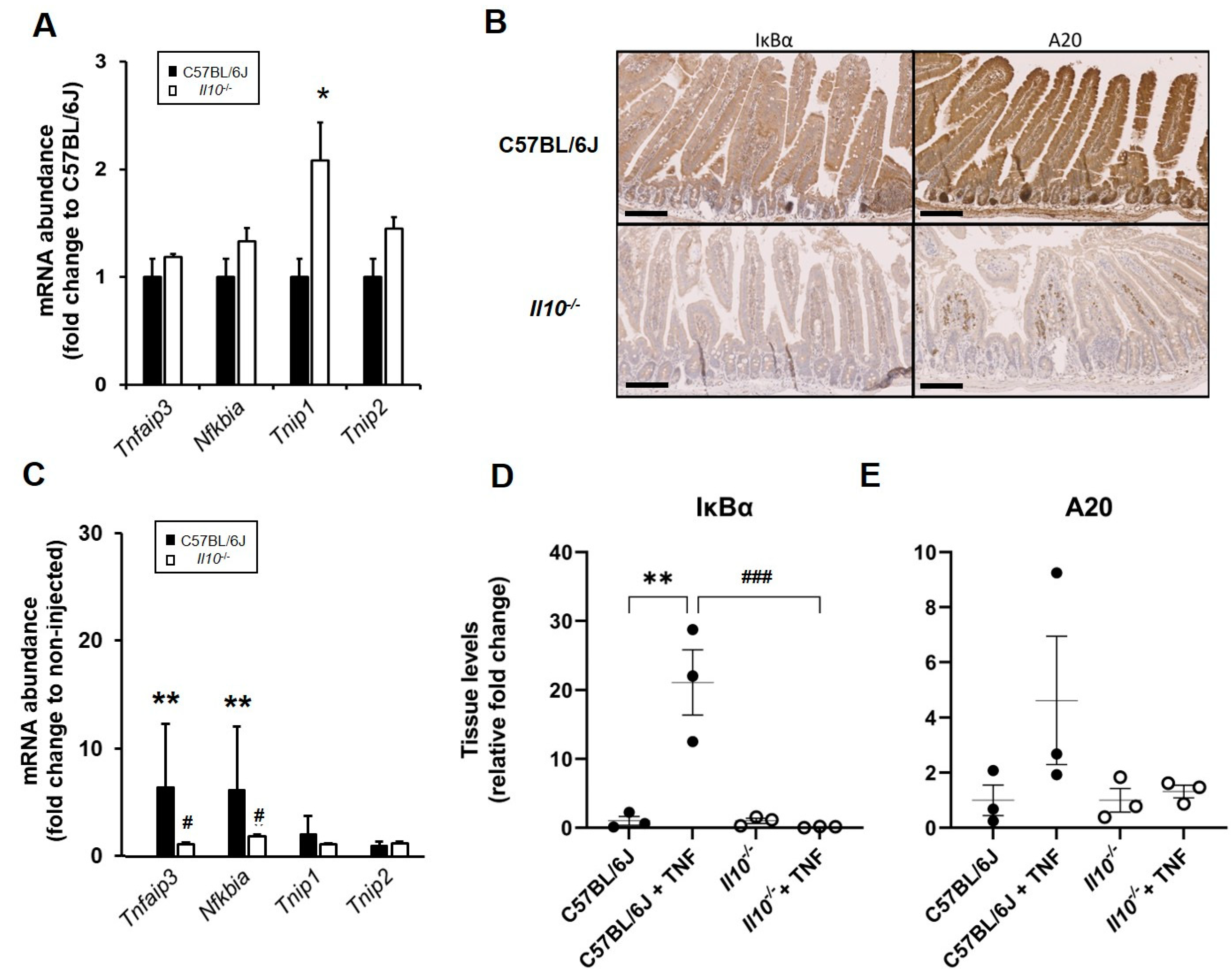 Biology 11 01377 g005 Biology 11 01377 g005