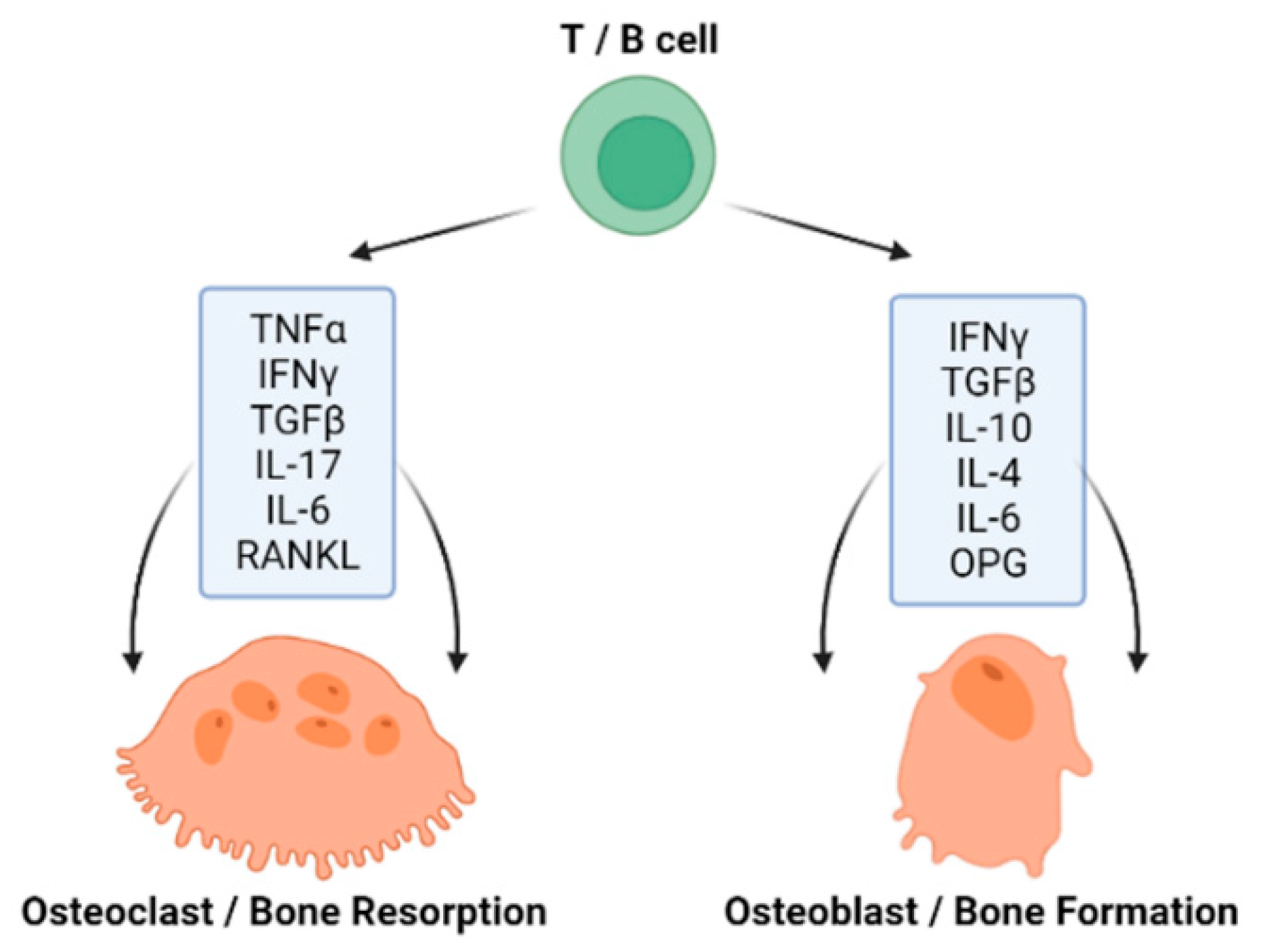 Biology 11 01402 g002 Biology 11 01402 g002