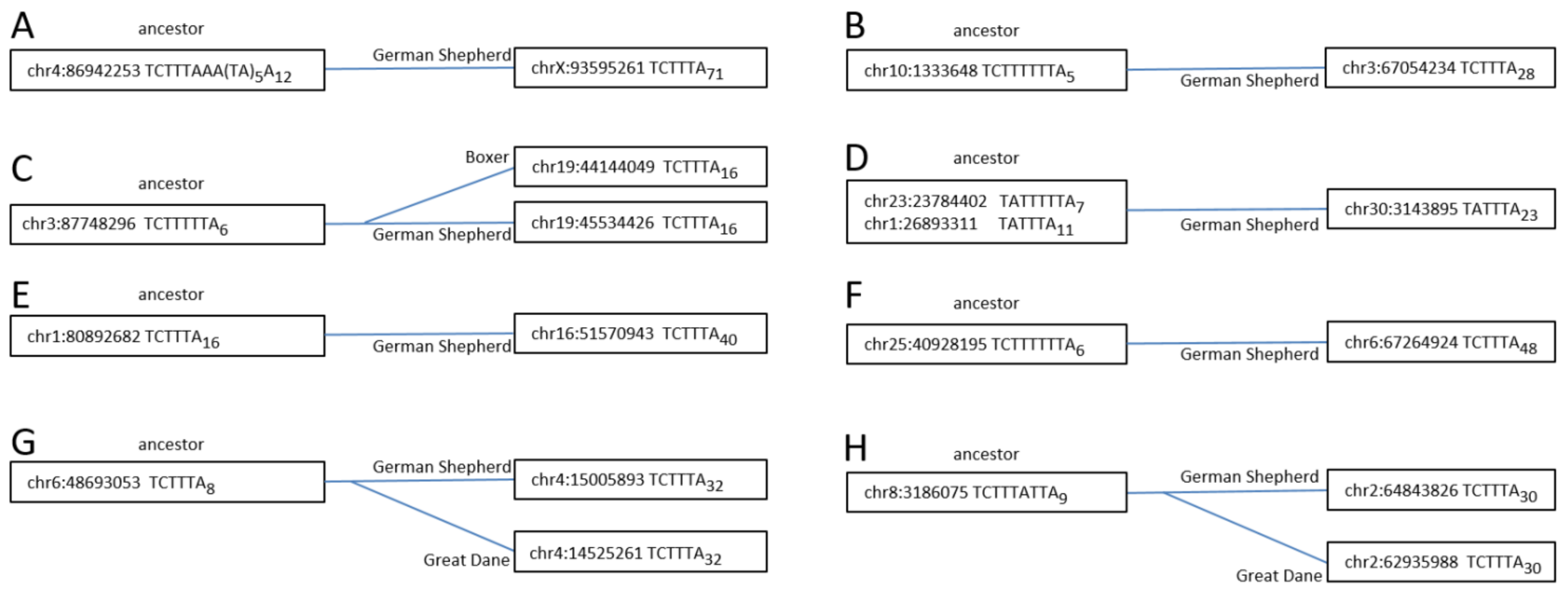 Biology 11 01403 g006 Biology 11 01403 g006