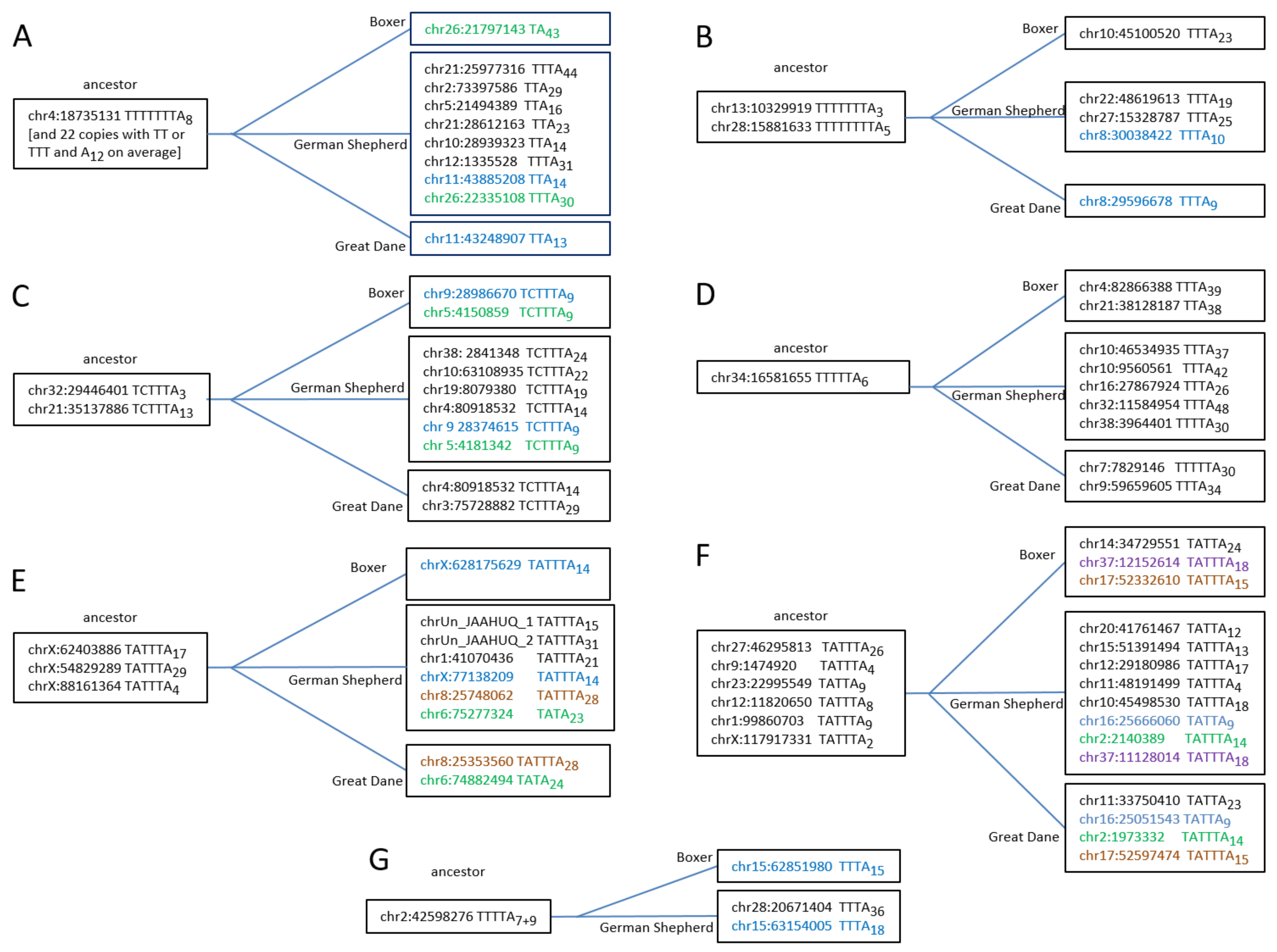 Biology 11 01403 g007 Biology 11 01403 g007
