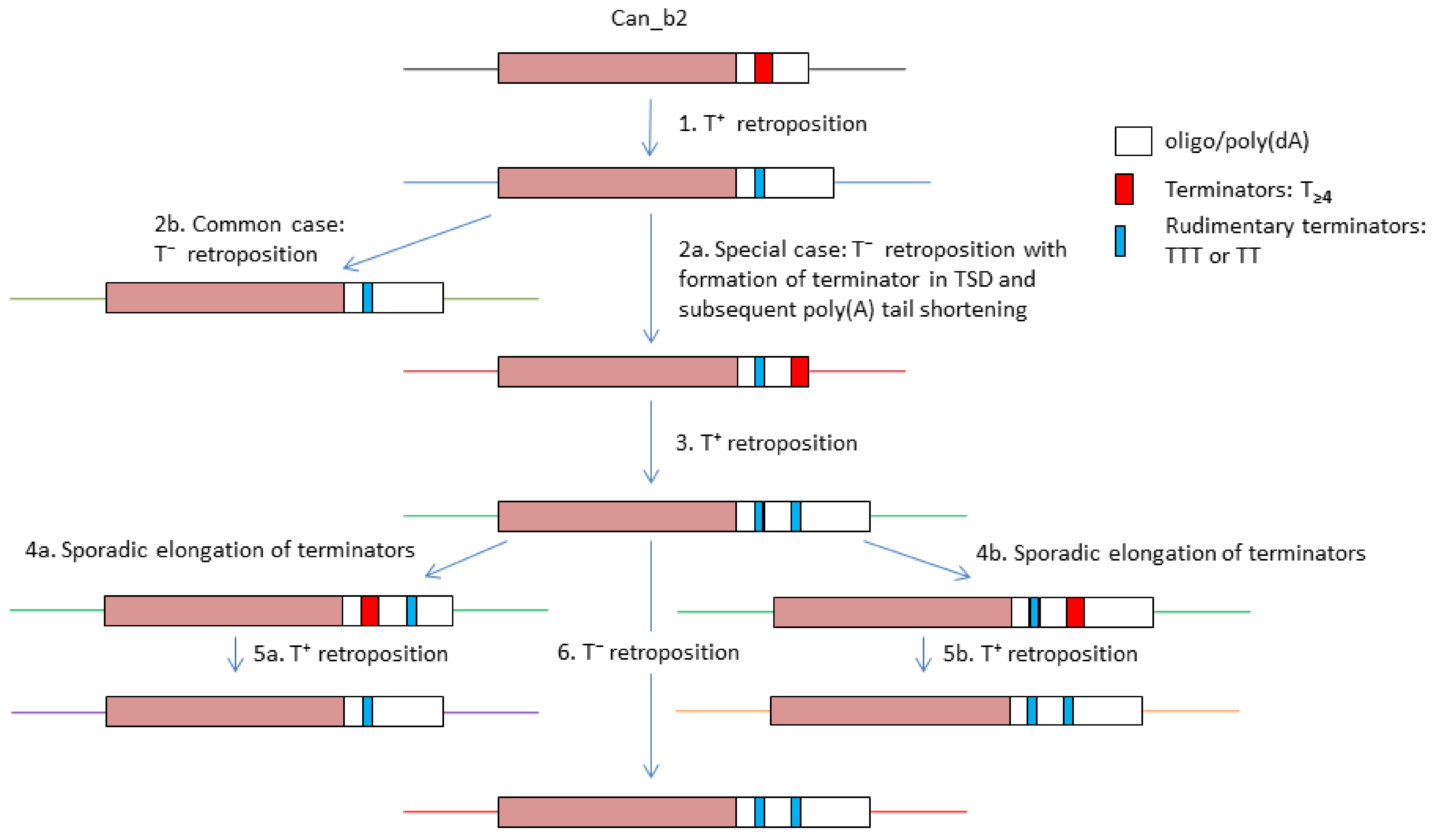 Biology 11 01403 g008 Biology 11 01403 g008