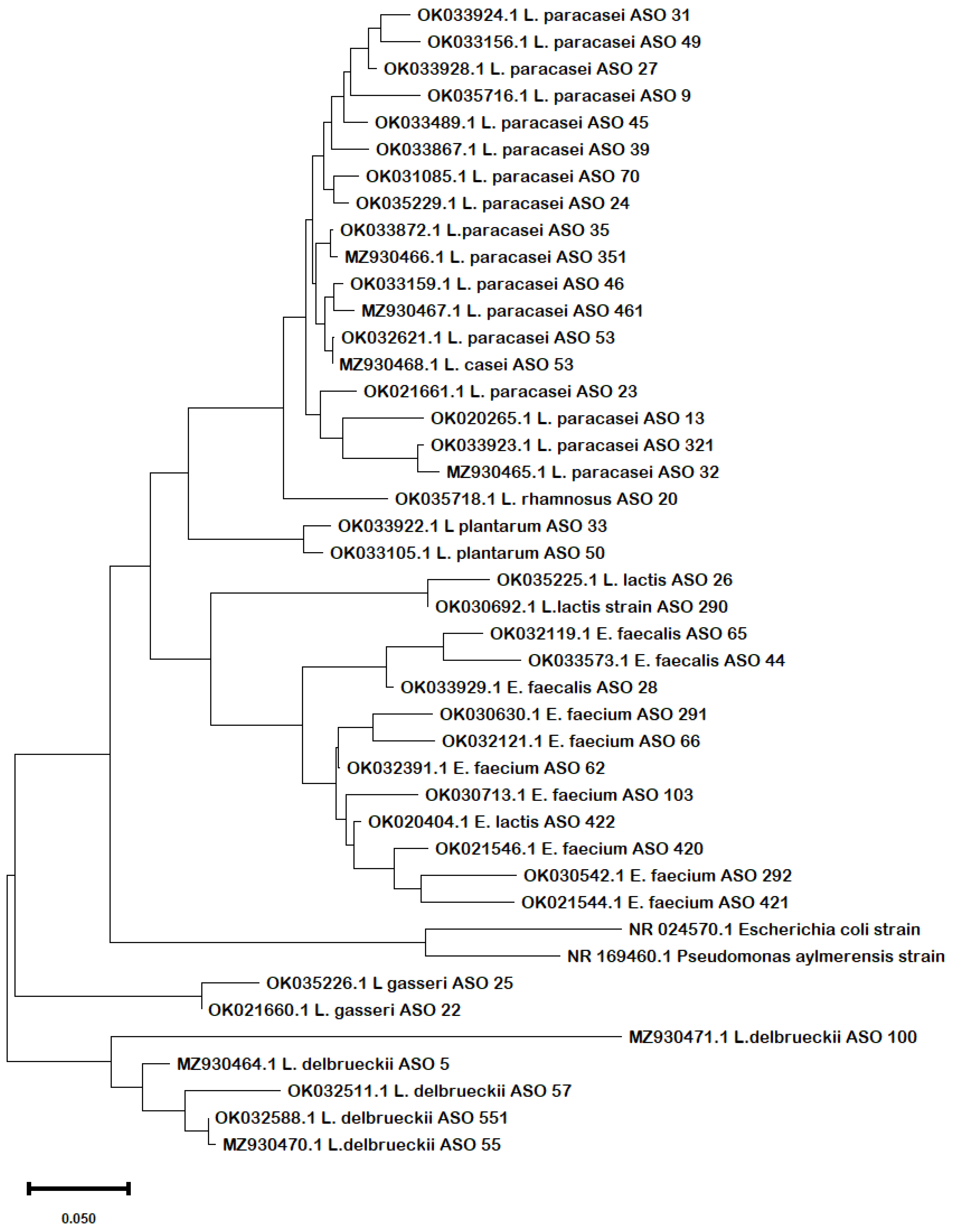 Biology 11 01405 g001 Biology 11 01405 g001