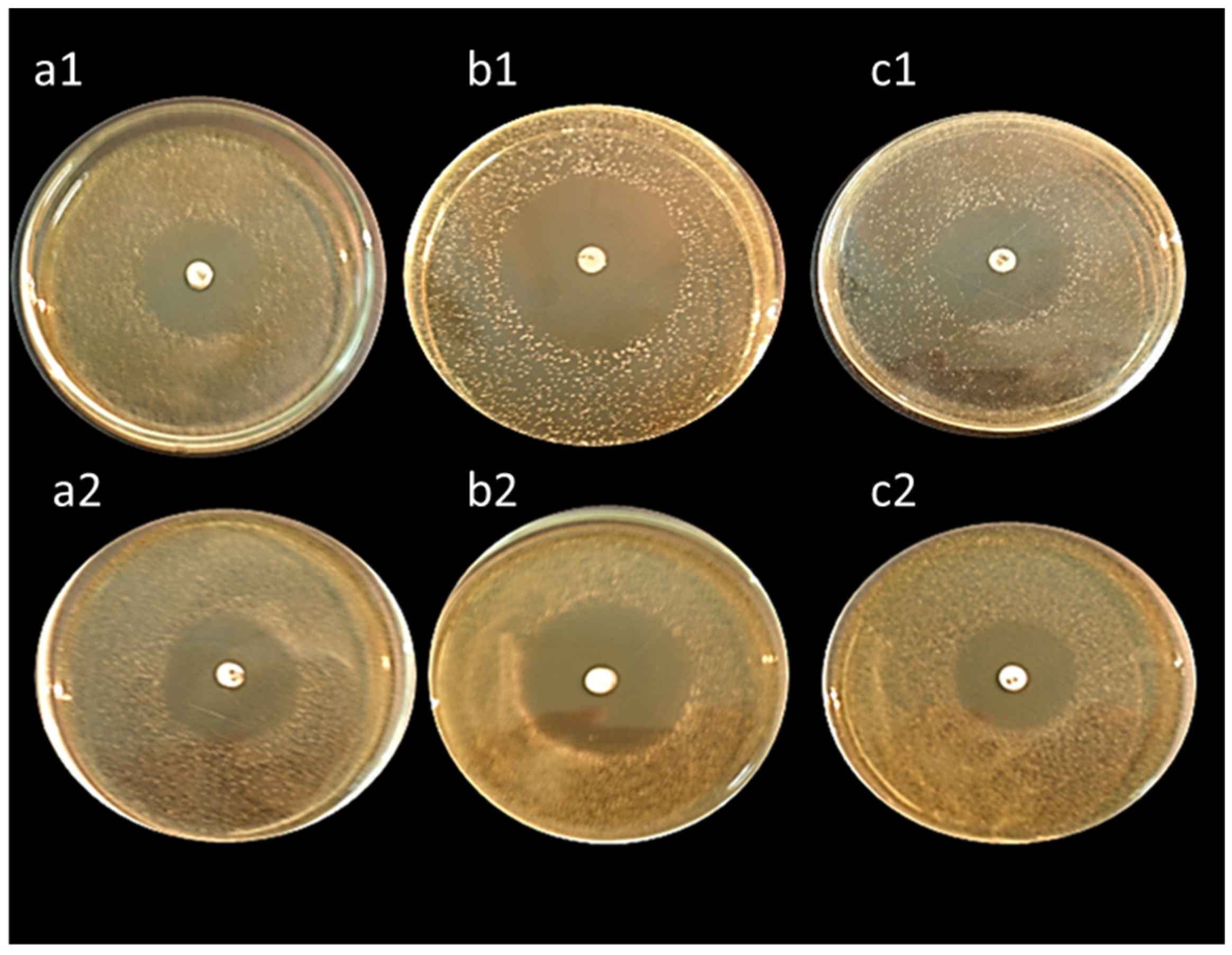 Biology 11 01405 g006 Biology 11 01405 g006