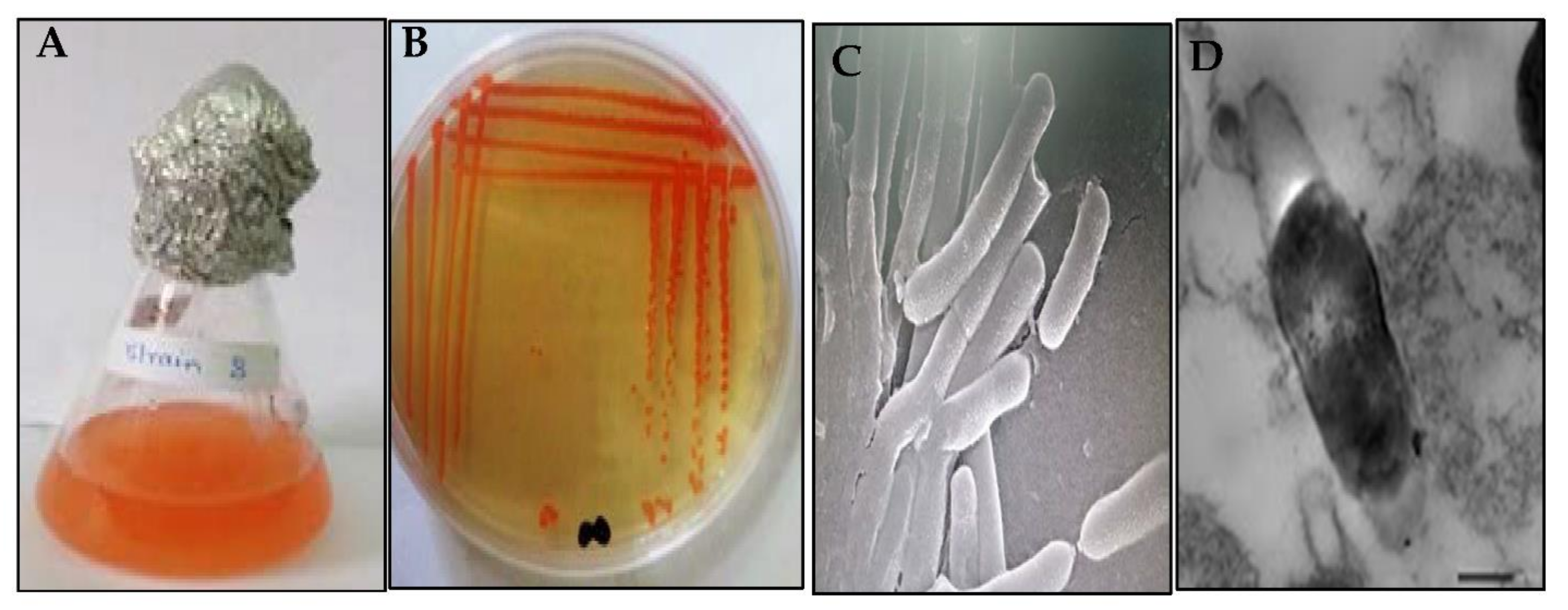 Biology 11 01407 g002
