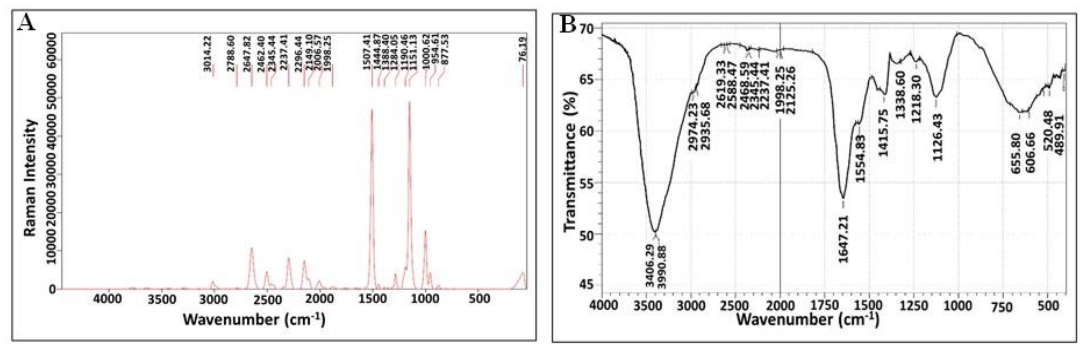 Biology 11 01407 g008
