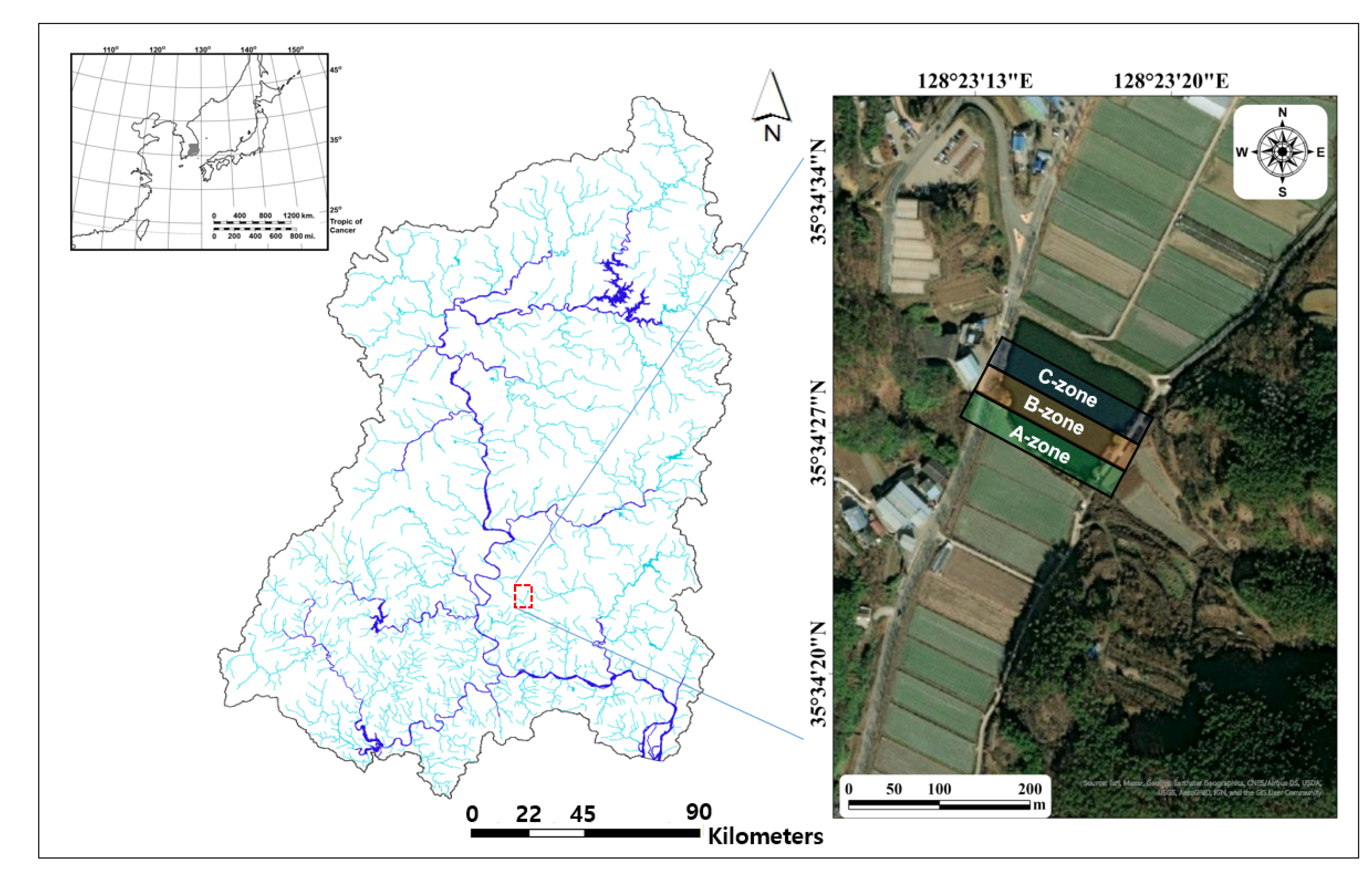 Biology 11 01409 g001
