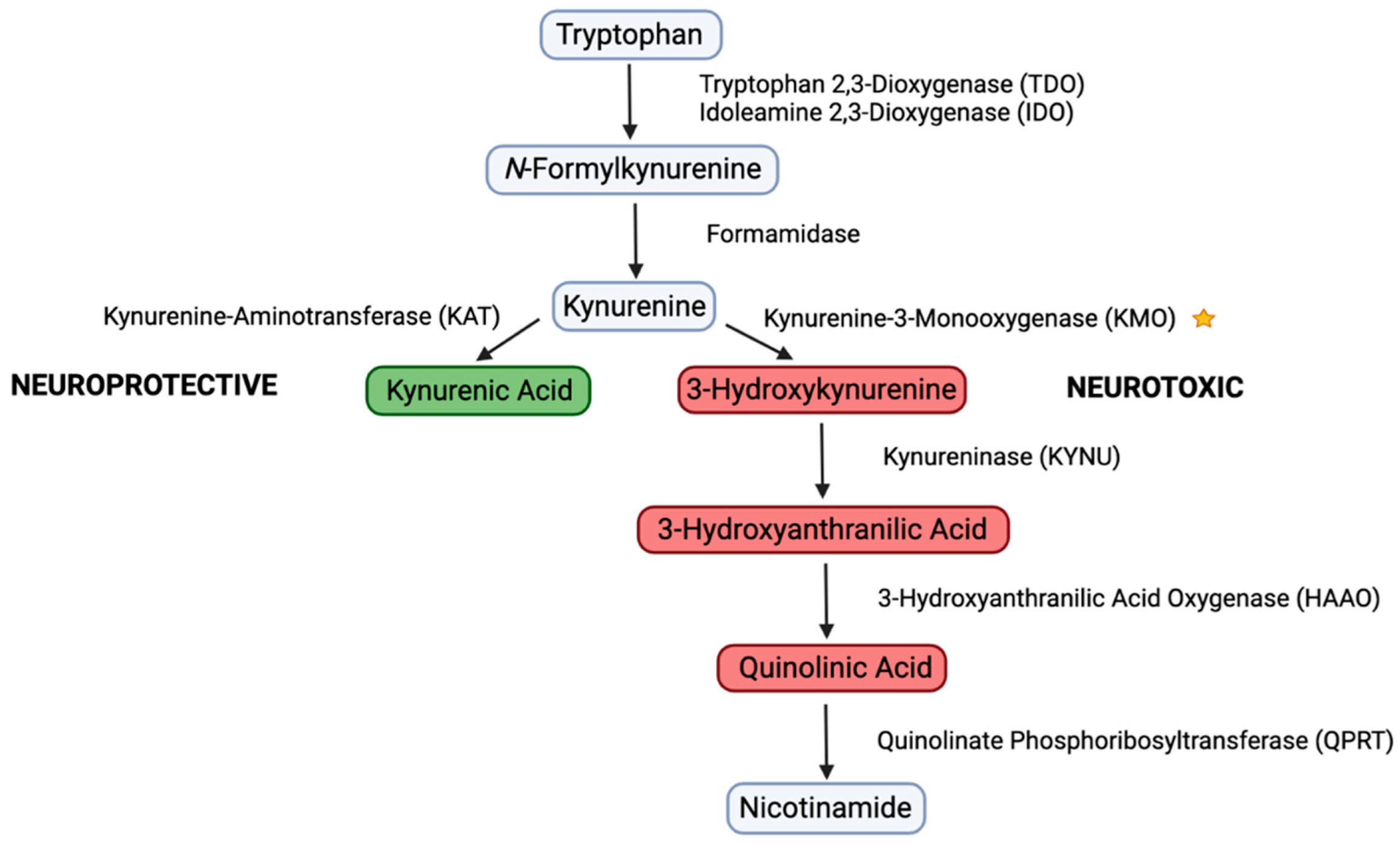 Biology 11 01416 g001 Biology 11 01416 g001