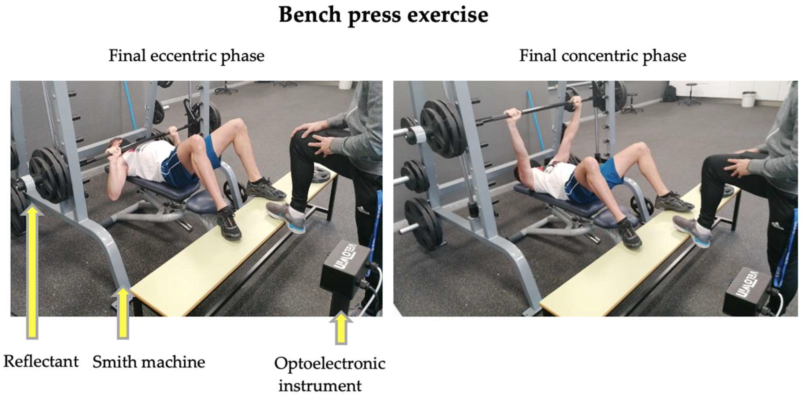 Biology 11 01435 g002 Biology 11 01435 g002