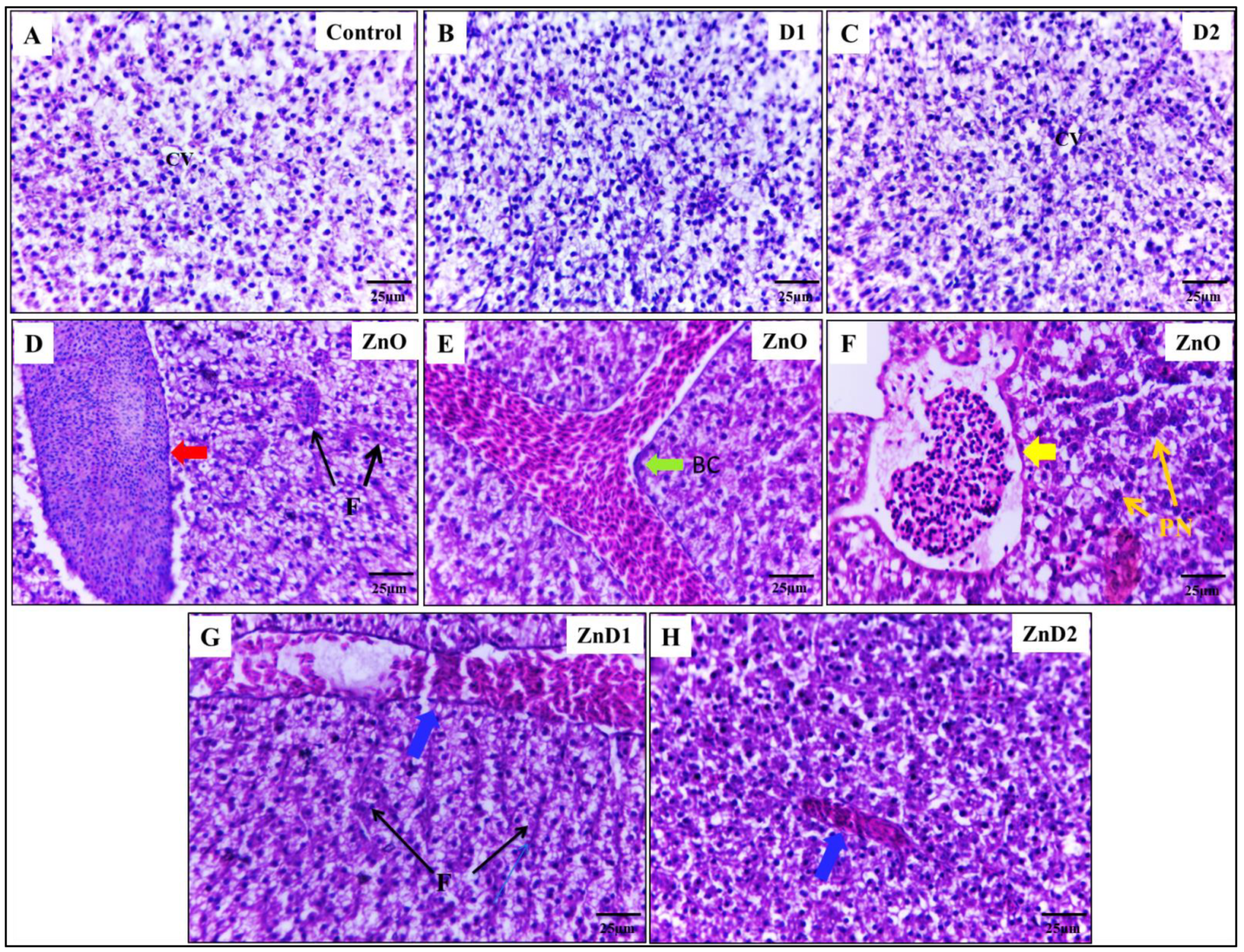 Biology 11 01447 g004