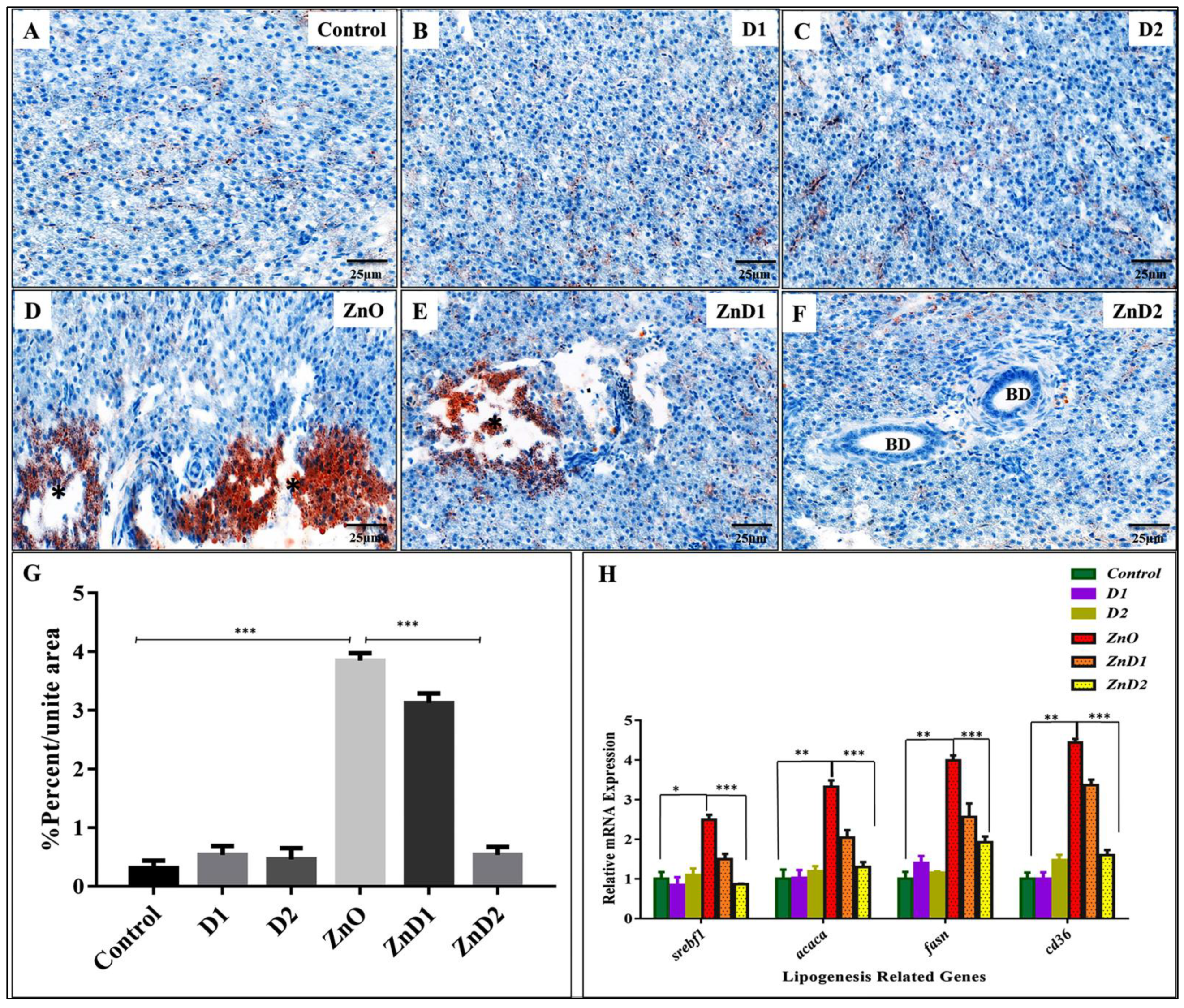Biology 11 01447 g006