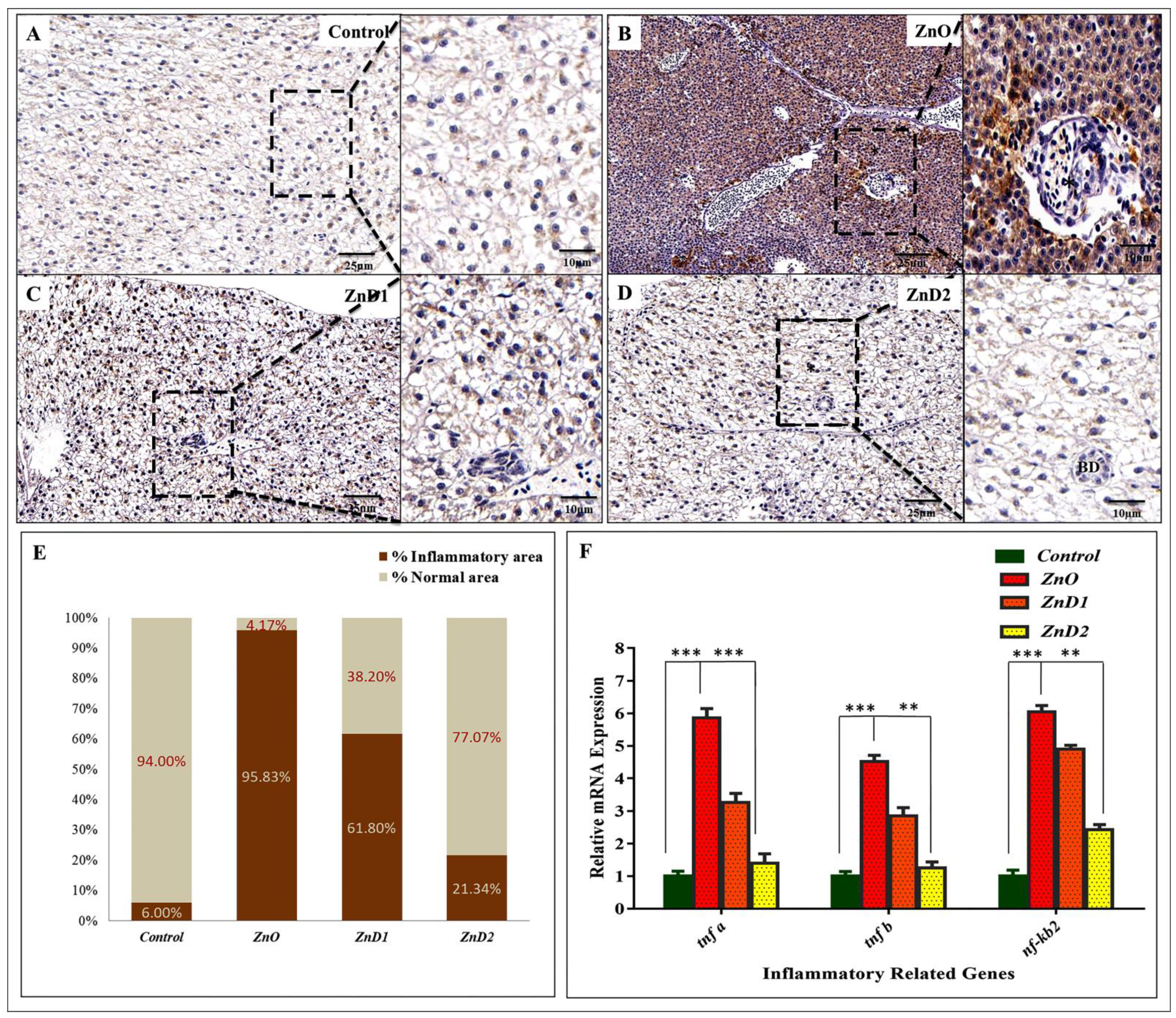 Biology 11 01447 g007