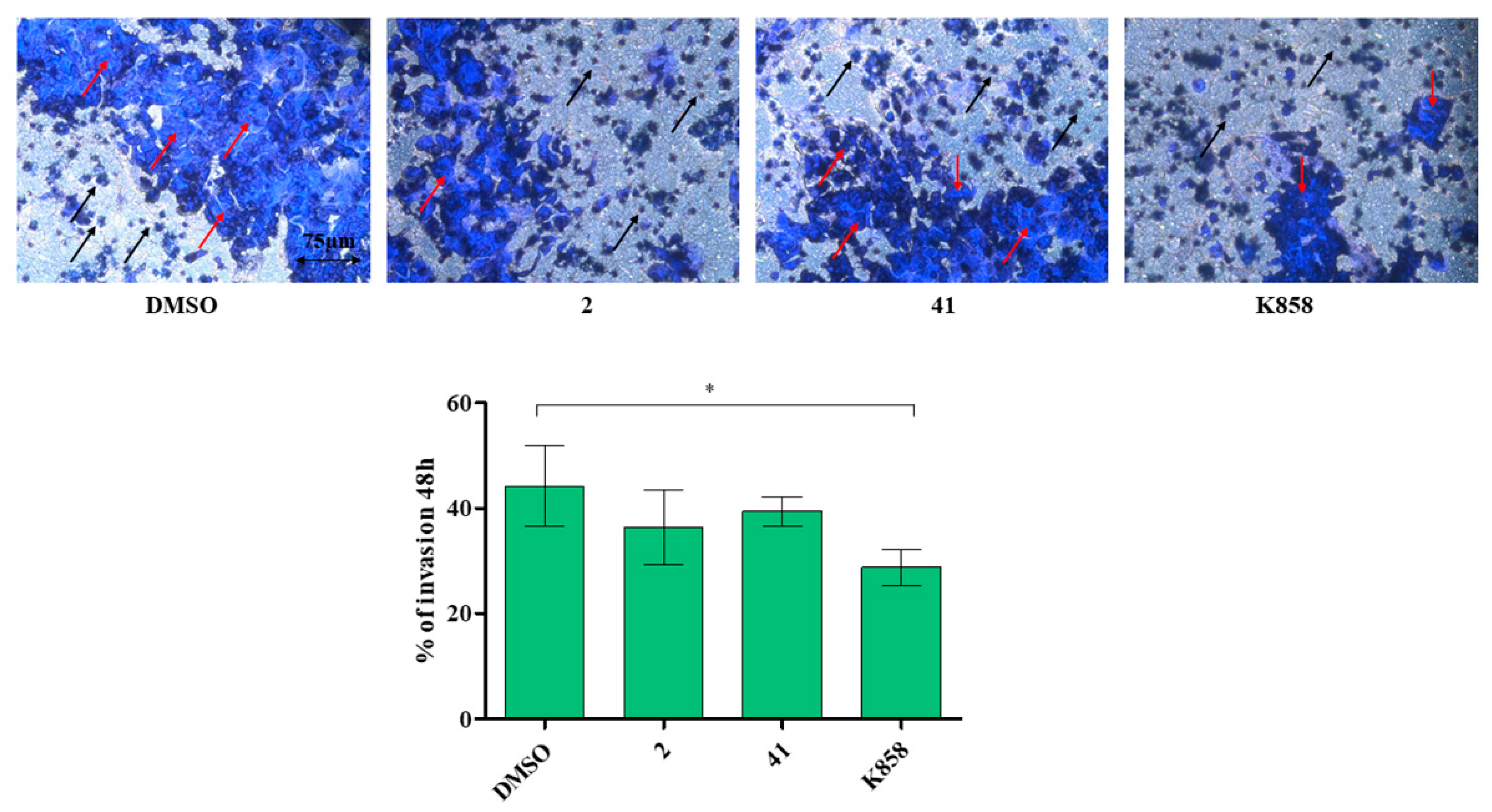Biology 11 01450 g006