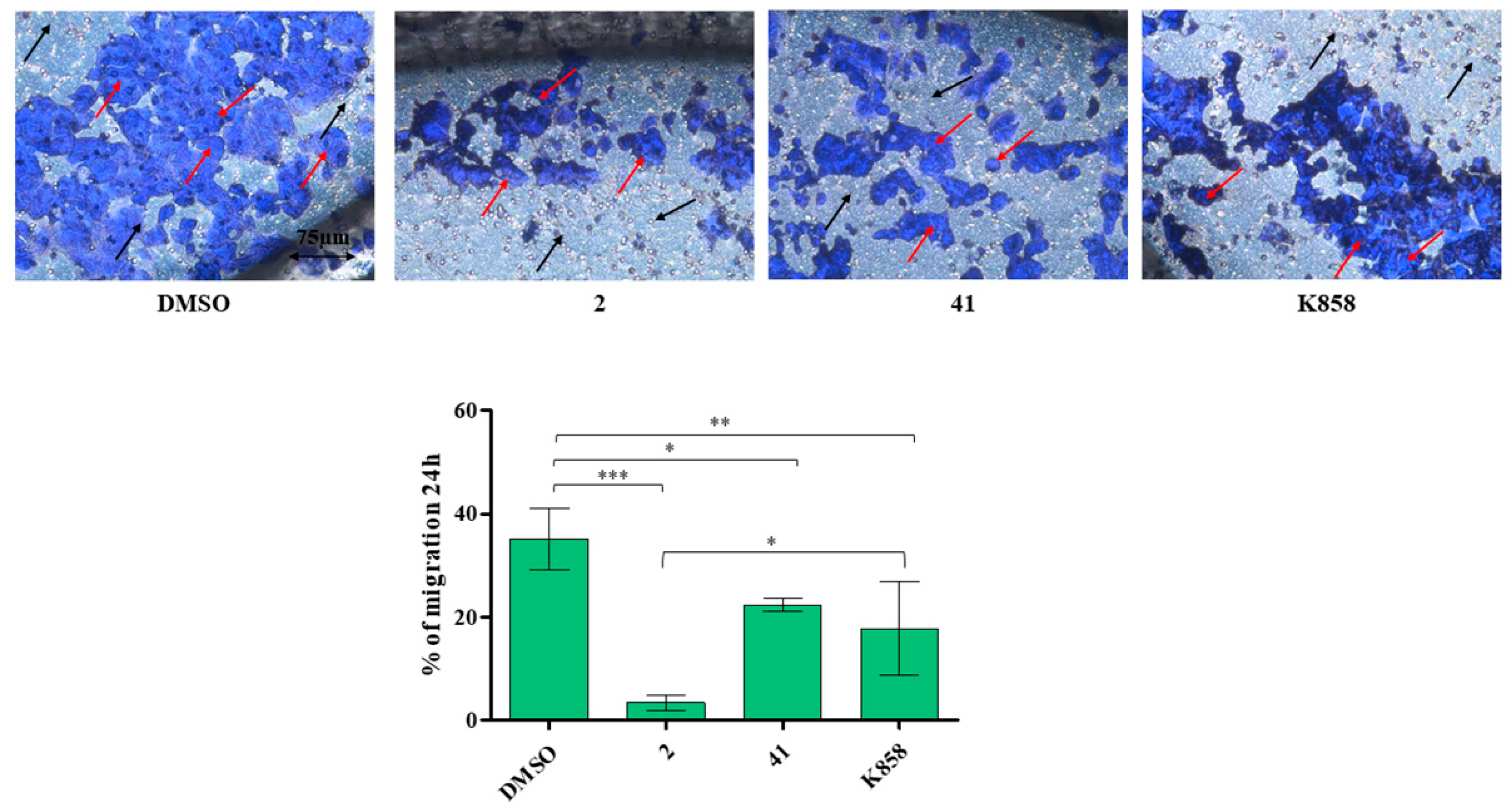 Biology 11 01450 g007