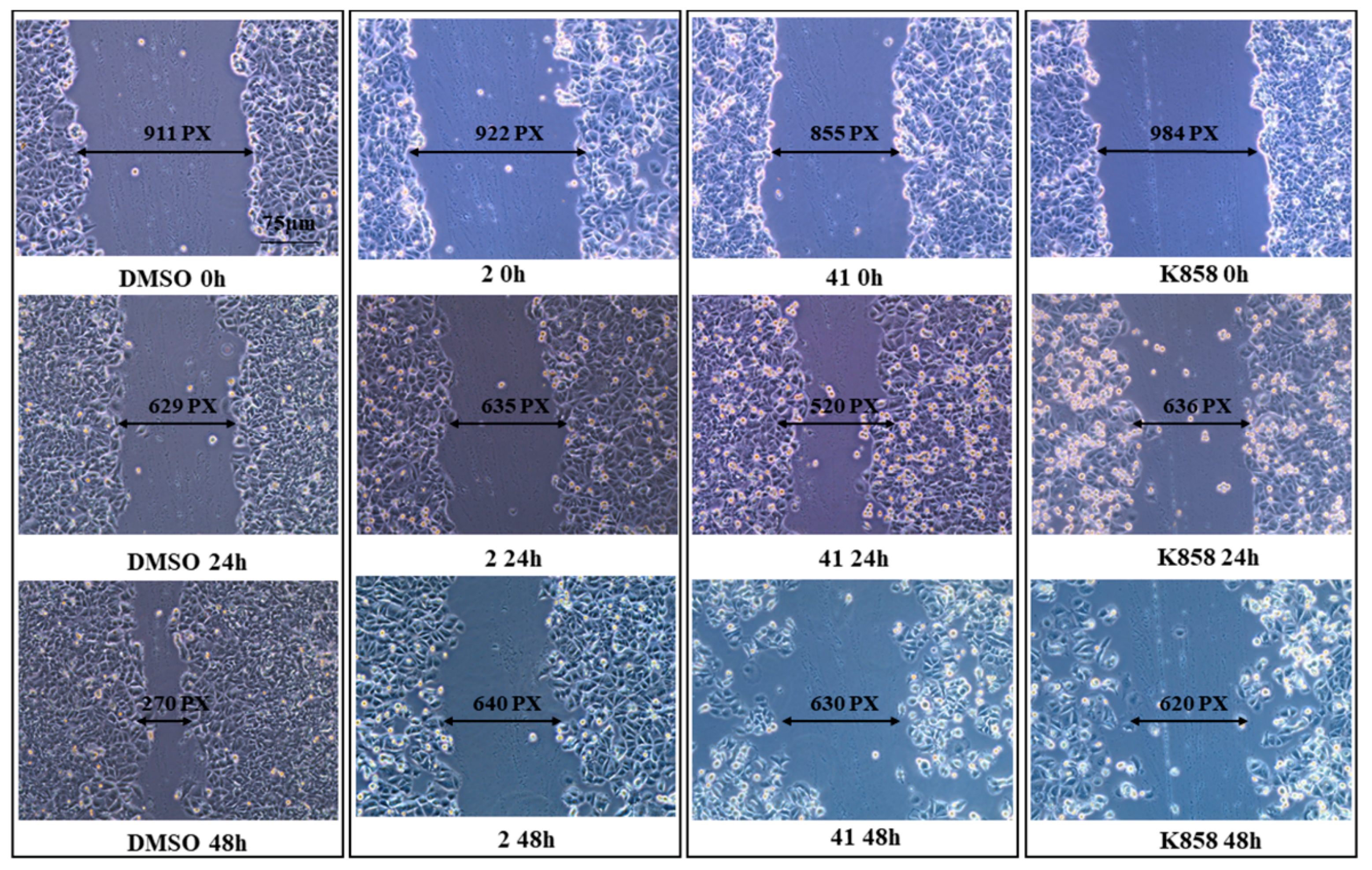 Biology 11 01450 g008