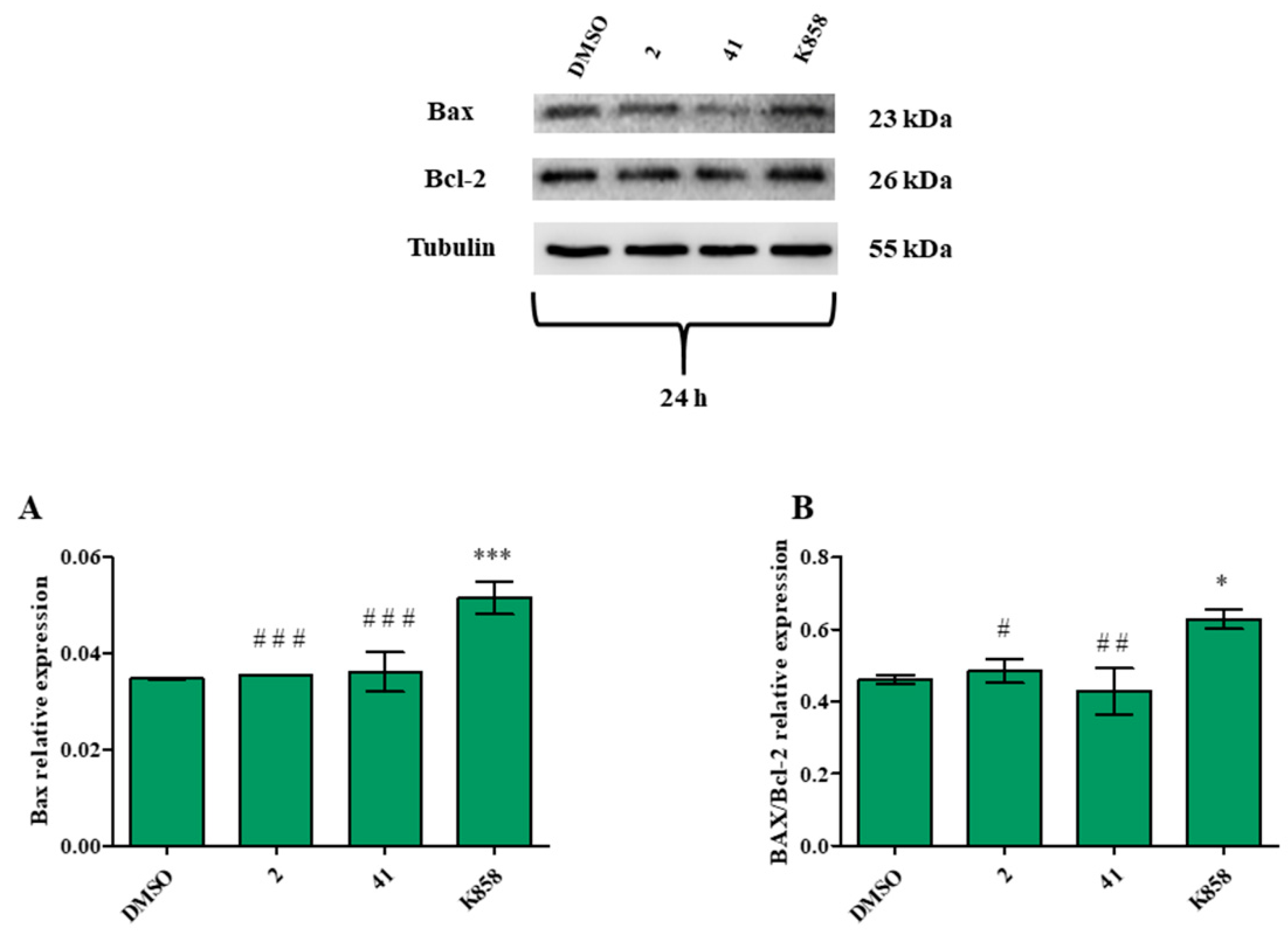 Biology 11 01450 g012
