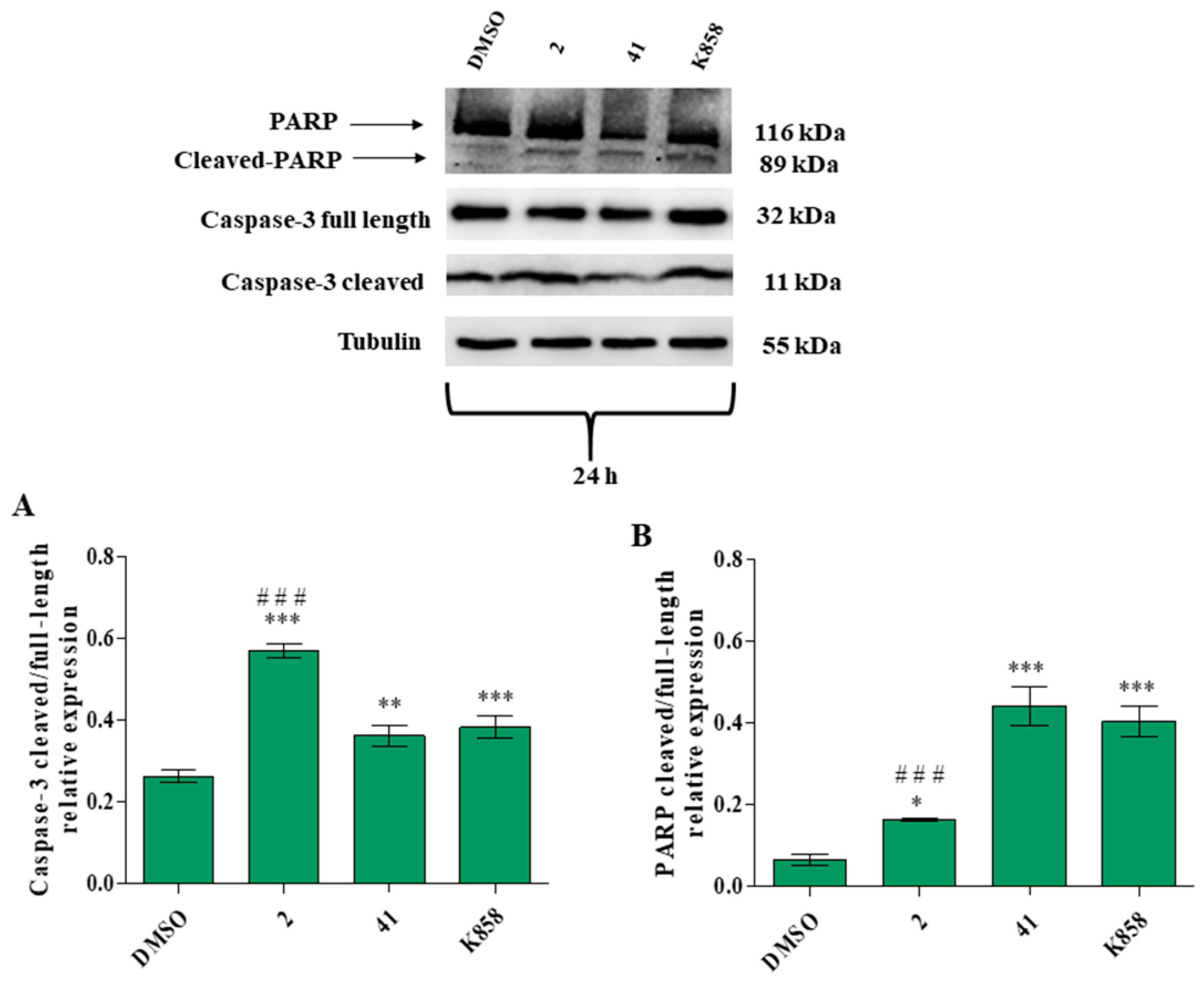 Biology 11 01450 g013