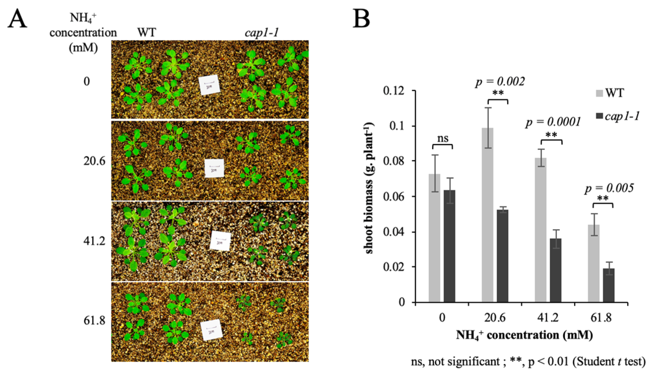 Biology 11 01452 g001 Biology 11 01452 g001