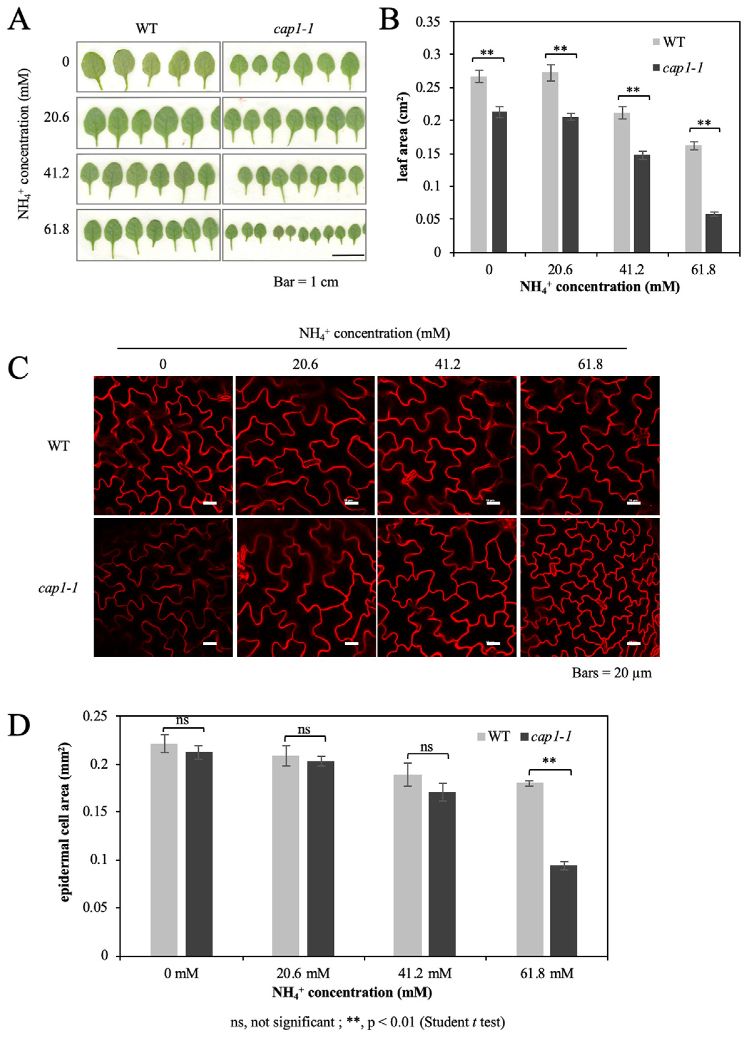 Biology 11 01452 g002 Biology 11 01452 g002