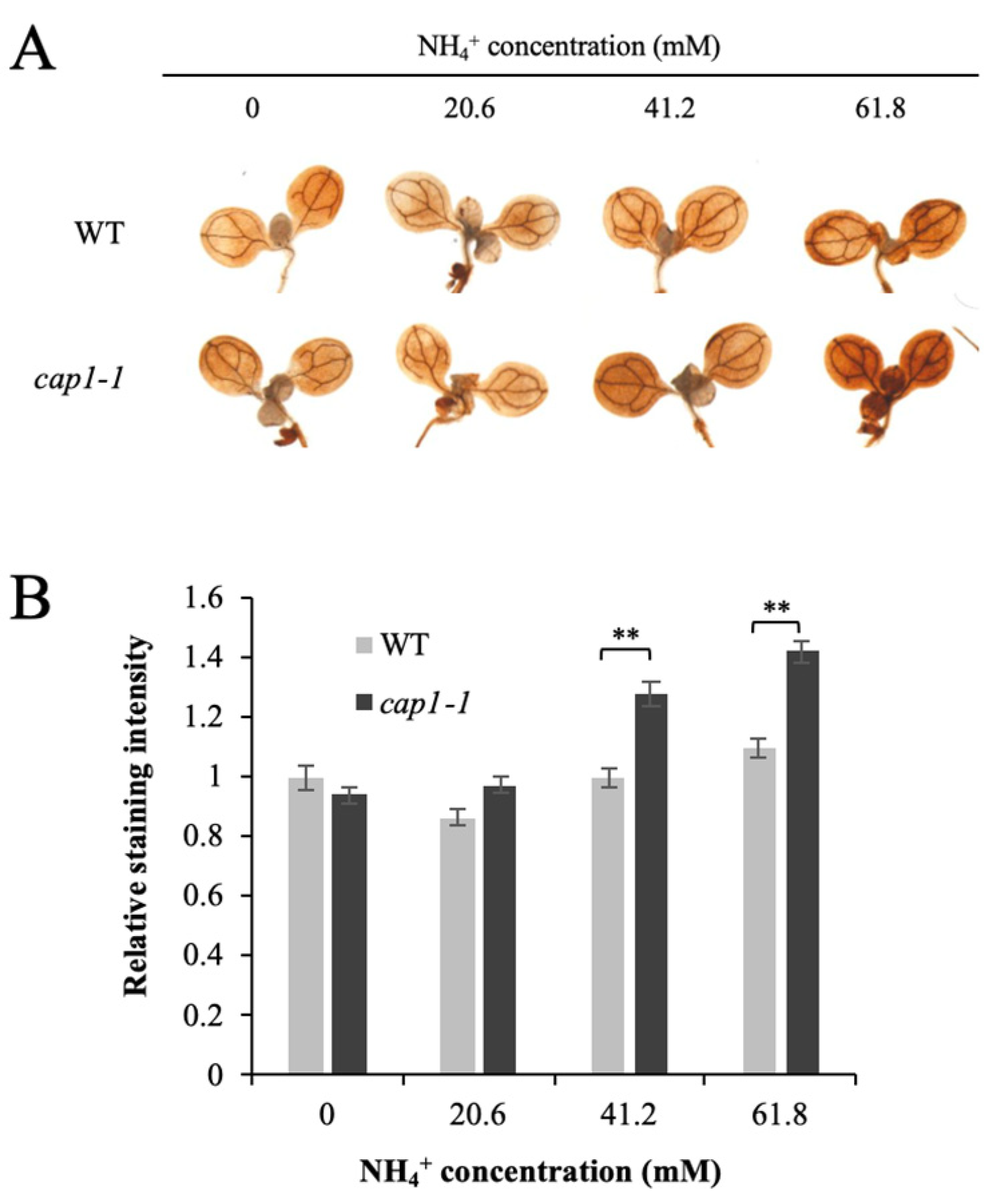 Biology 11 01452 g004 Biology 11 01452 g004