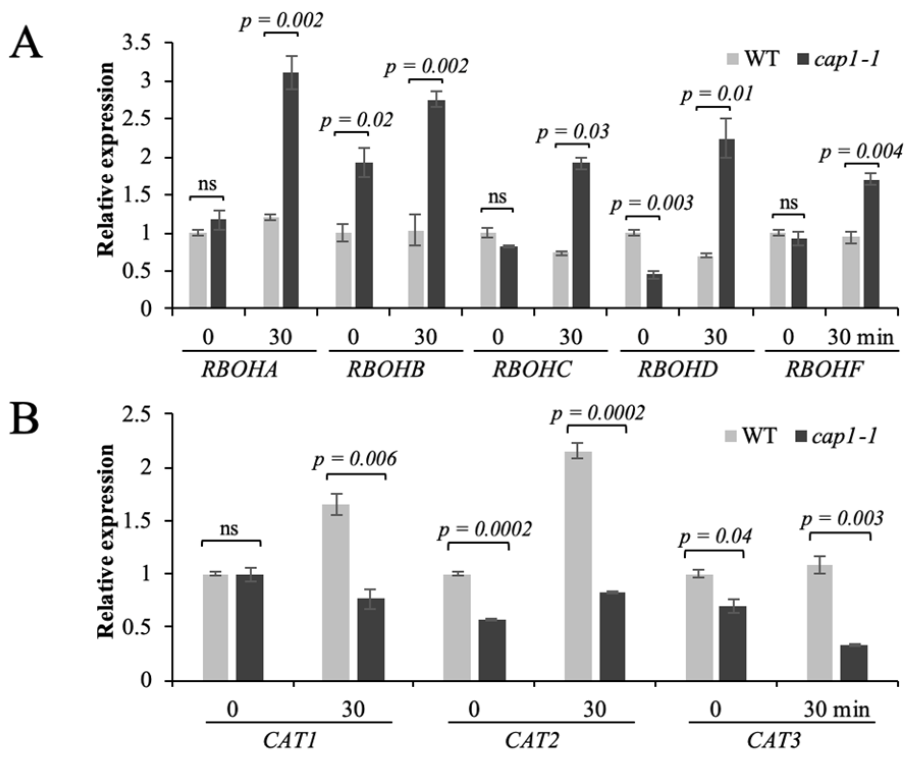 Biology 11 01452 g005 Biology 11 01452 g005