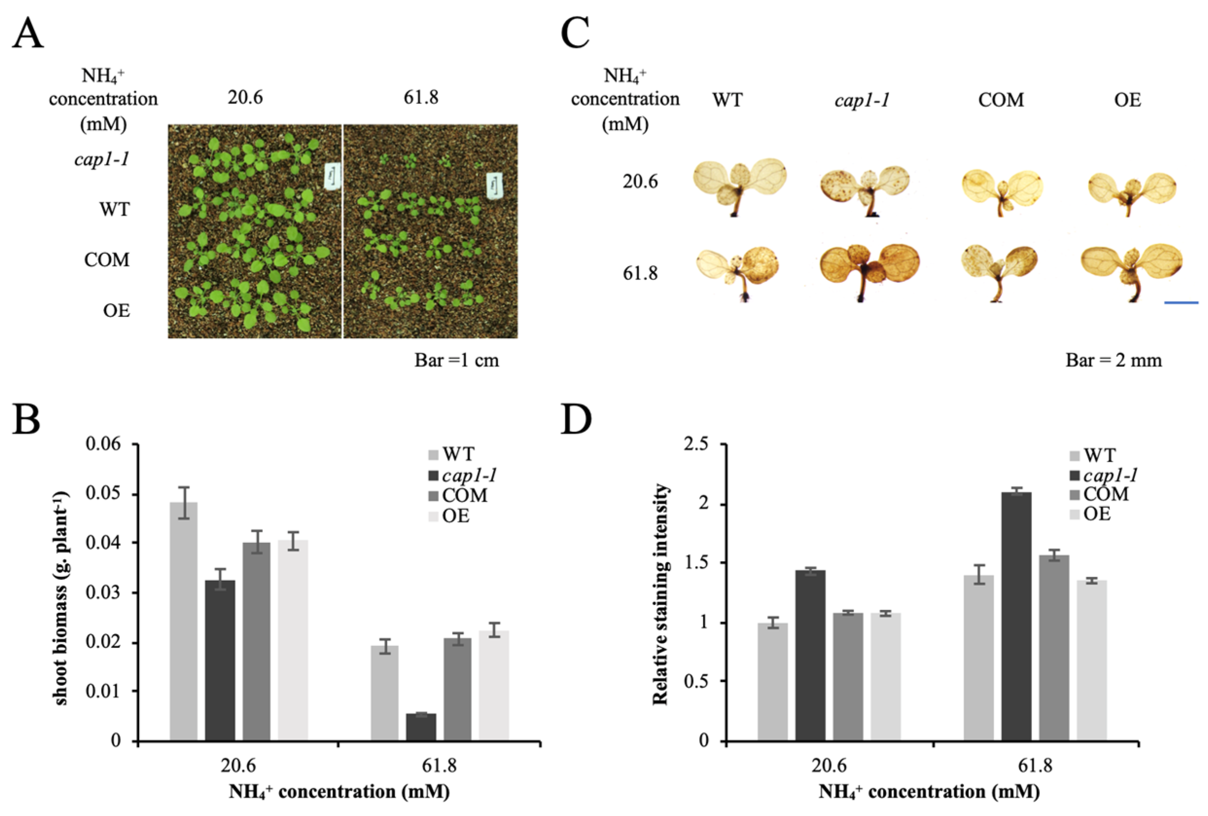 Biology 11 01452 g006 Biology 11 01452 g006