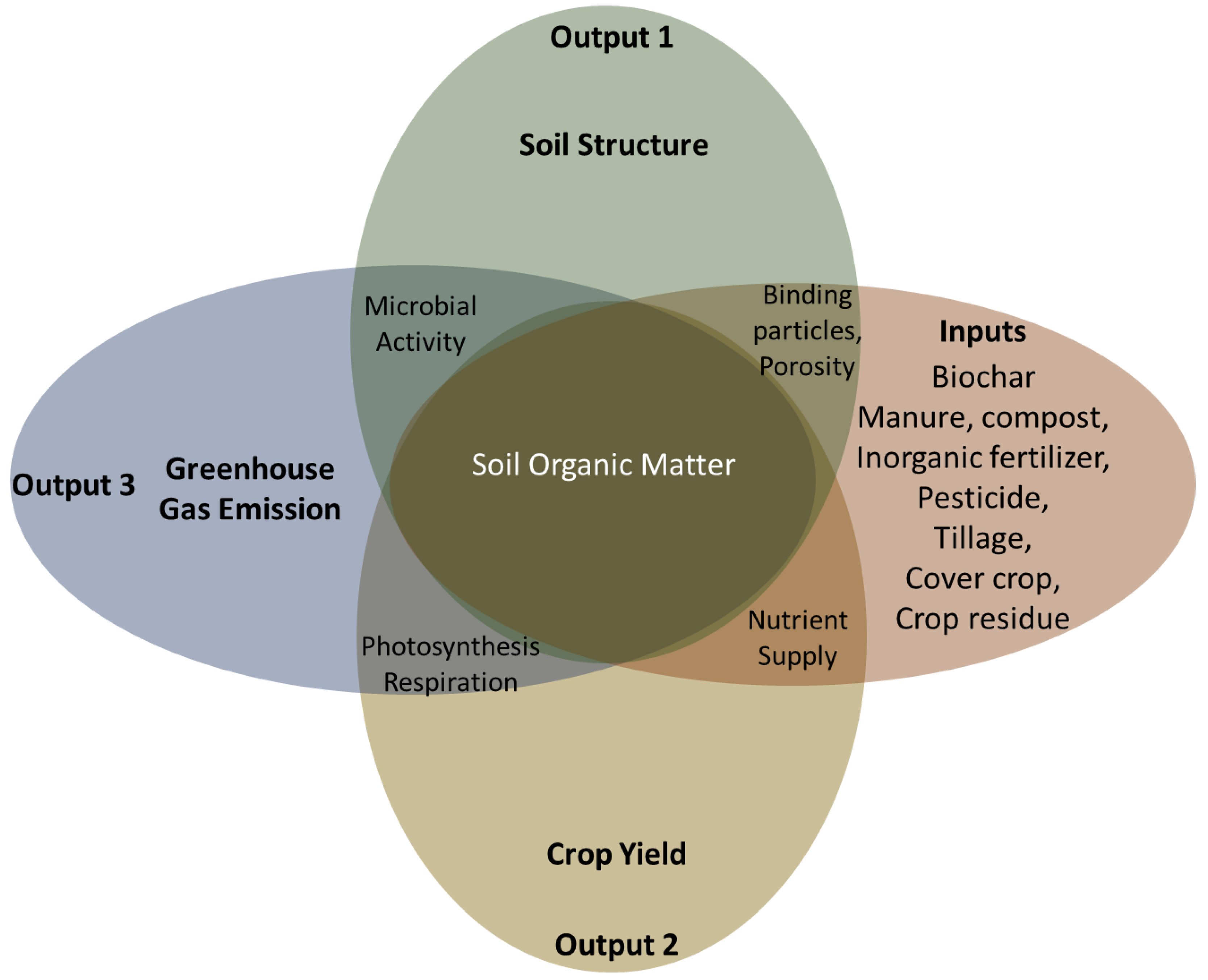 Biology 11 01453 g003